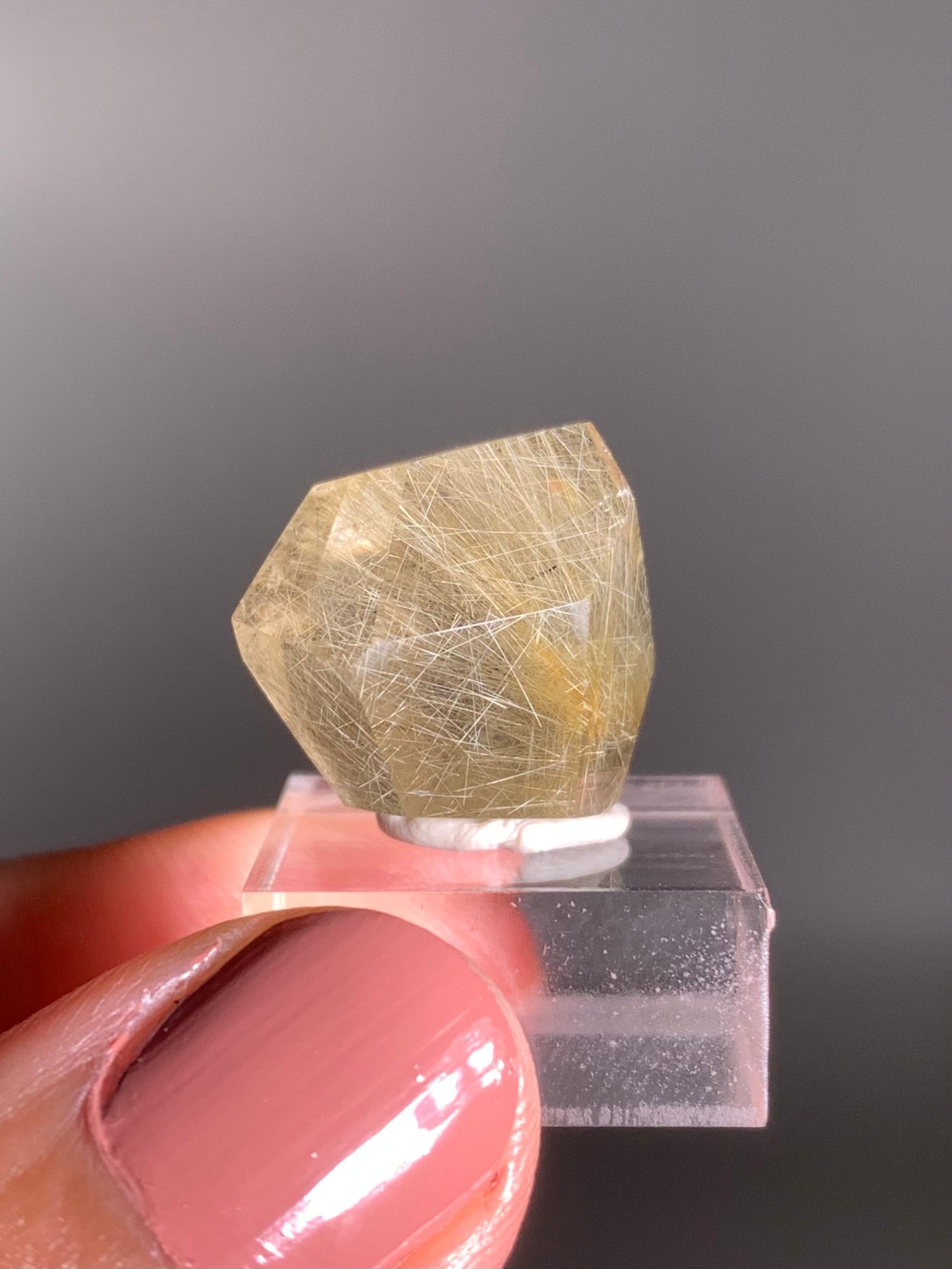 Gold & Black Rutile Quartz Polished Mini Freeform
