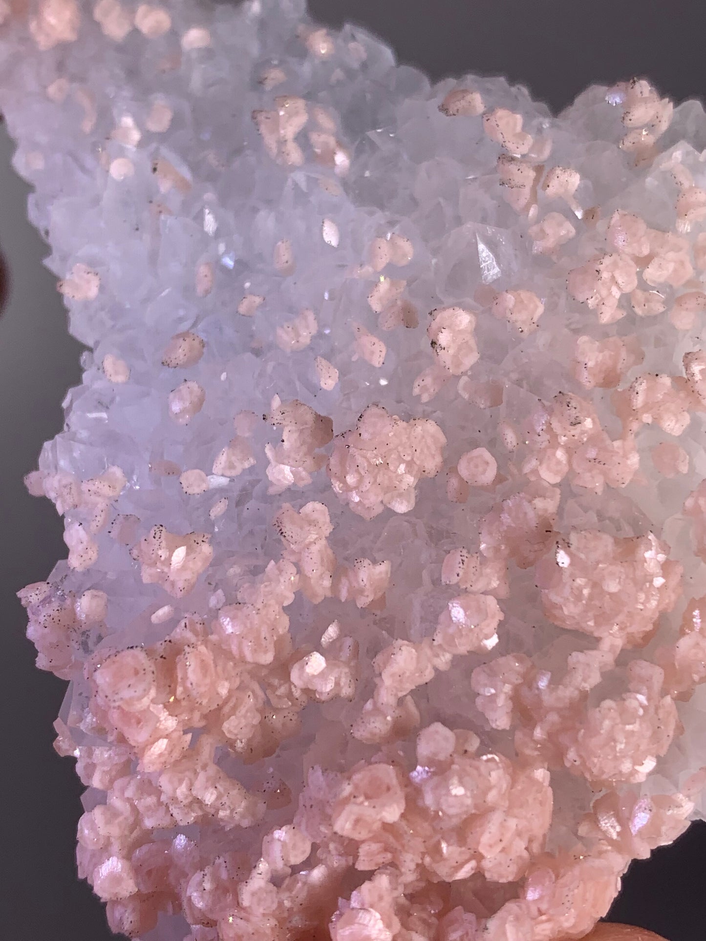 High-Quality Pink Petal Rhodochrosite with Pyrite Sprinkles | Rare Natural Mineral Specimen