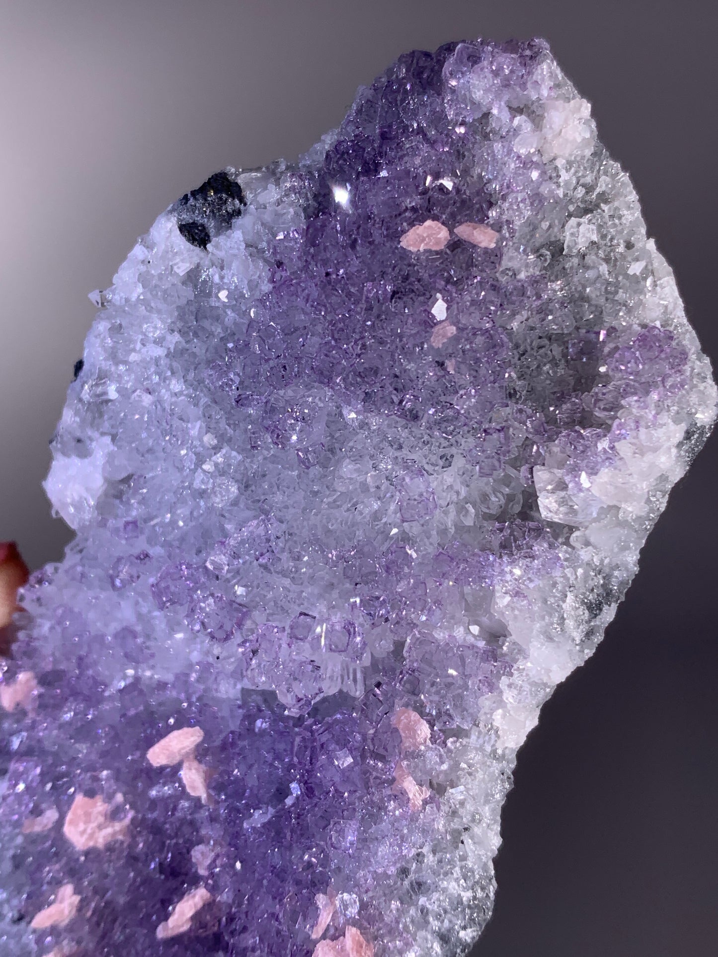 High-Quality Pink Petal Rhodochrosite with Purple Fluorite | Rare Natural Mineral Specimen