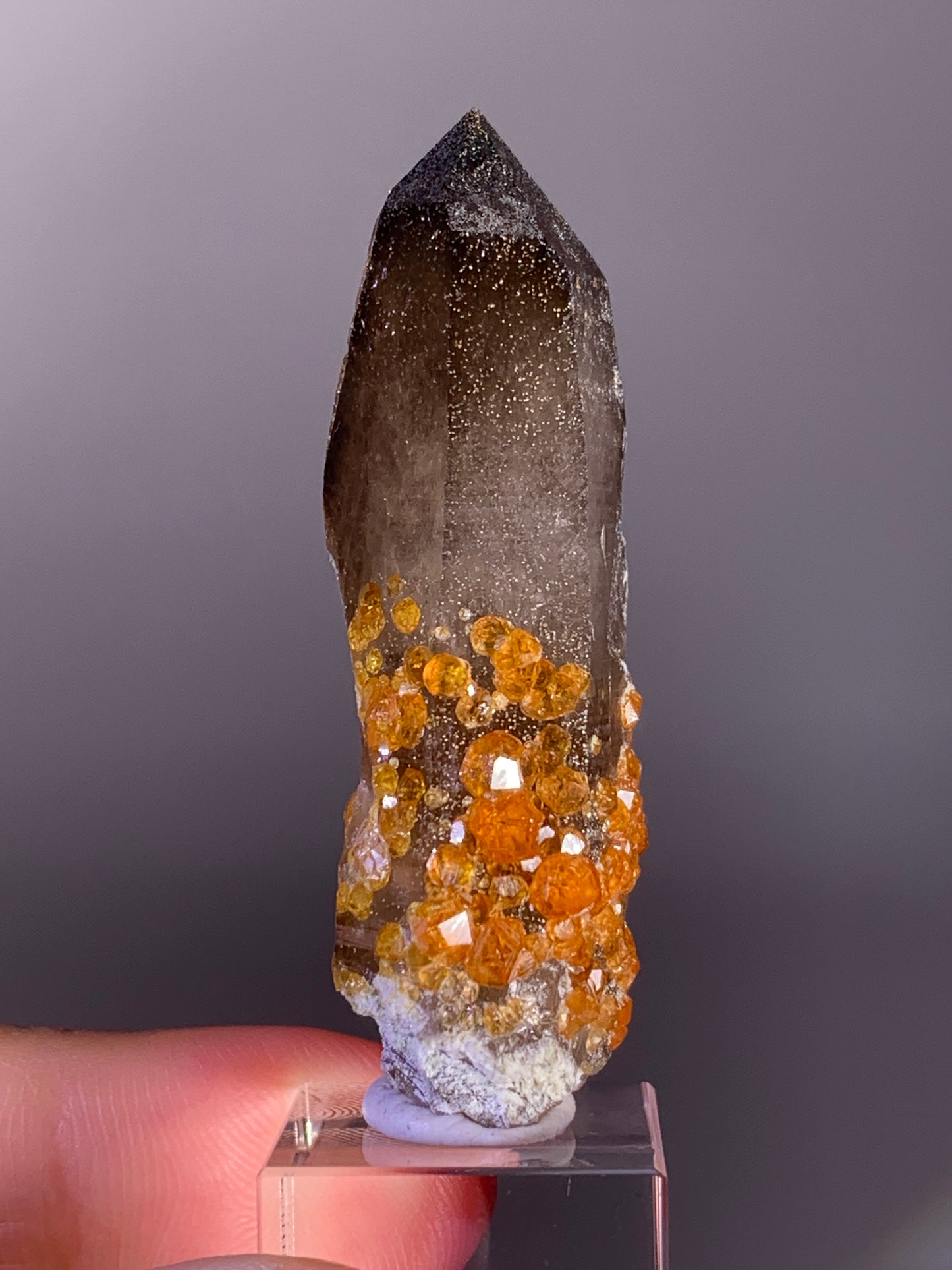 High-Quality Spessartine Garnet on Smoky Quartz Mineral Specimen