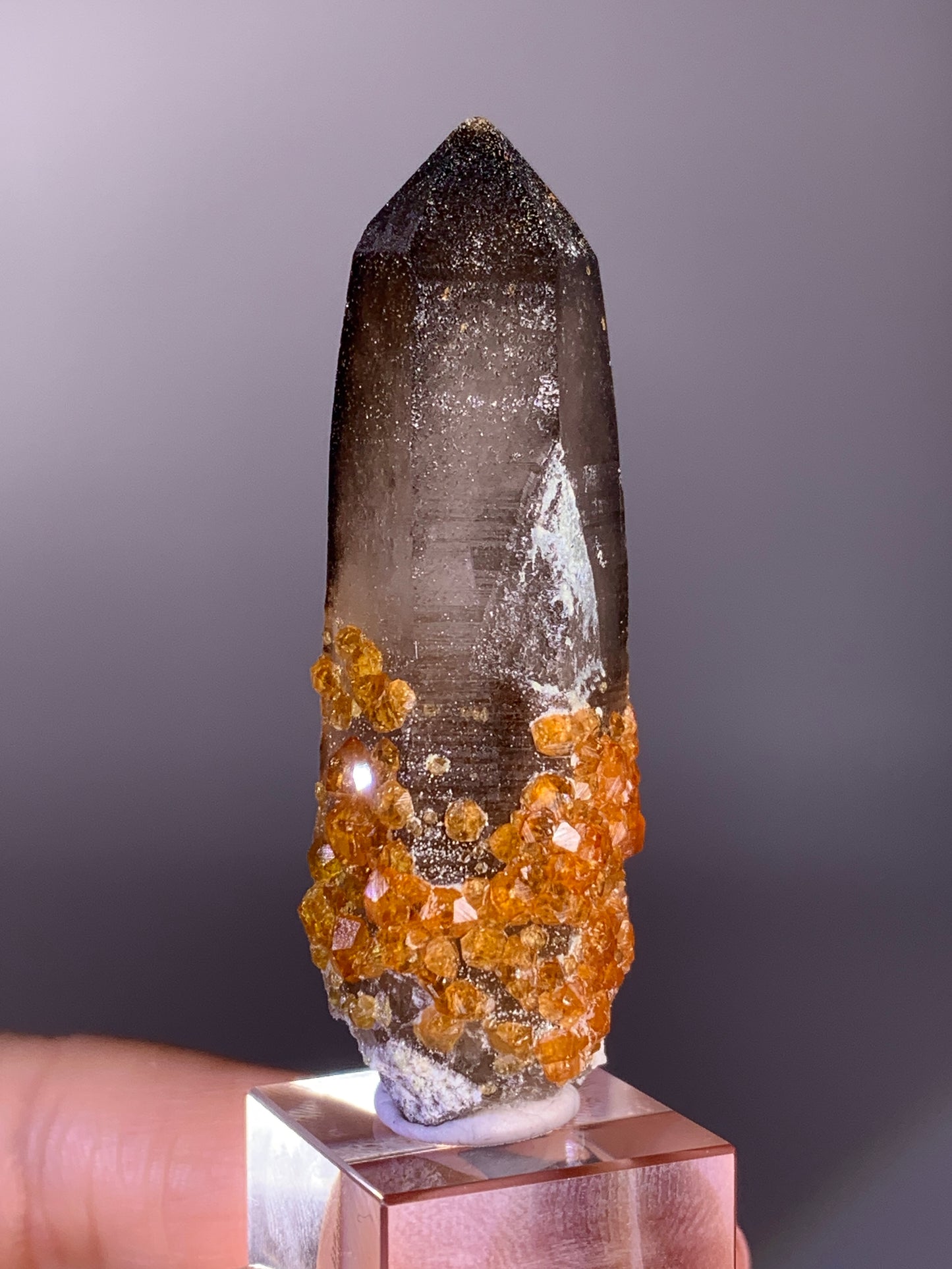 High-Quality Spessartine Garnet on Smoky Quartz Mineral Specimen