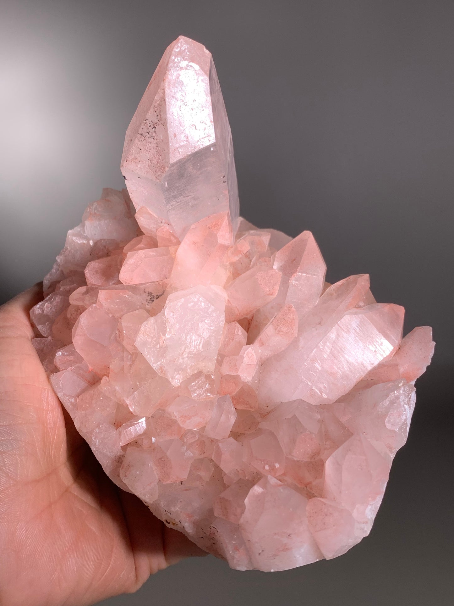 Large Pink Himalayan Samadhi Quartz