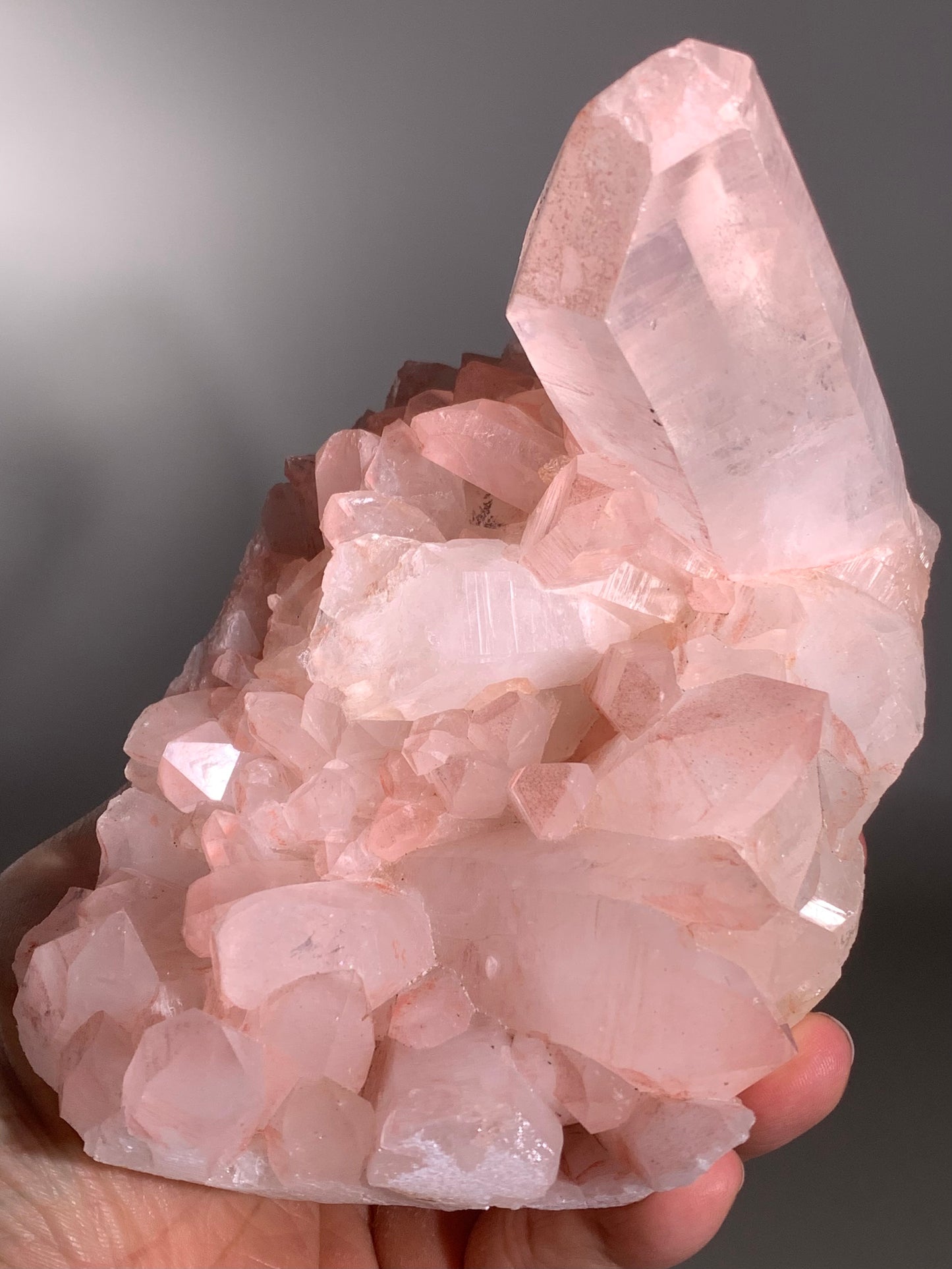 Large Pink Himalayan Samadhi Quartz