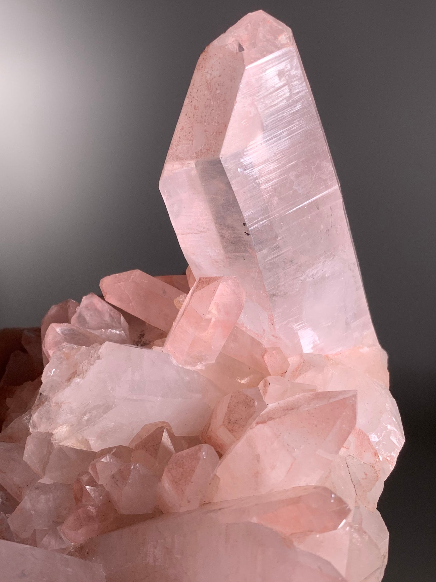 Large Pink Himalayan Samadhi Quartz