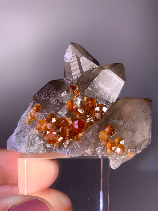 High-Quality Spessartine Garnet on Smoky Quartz Mineral Specimen
