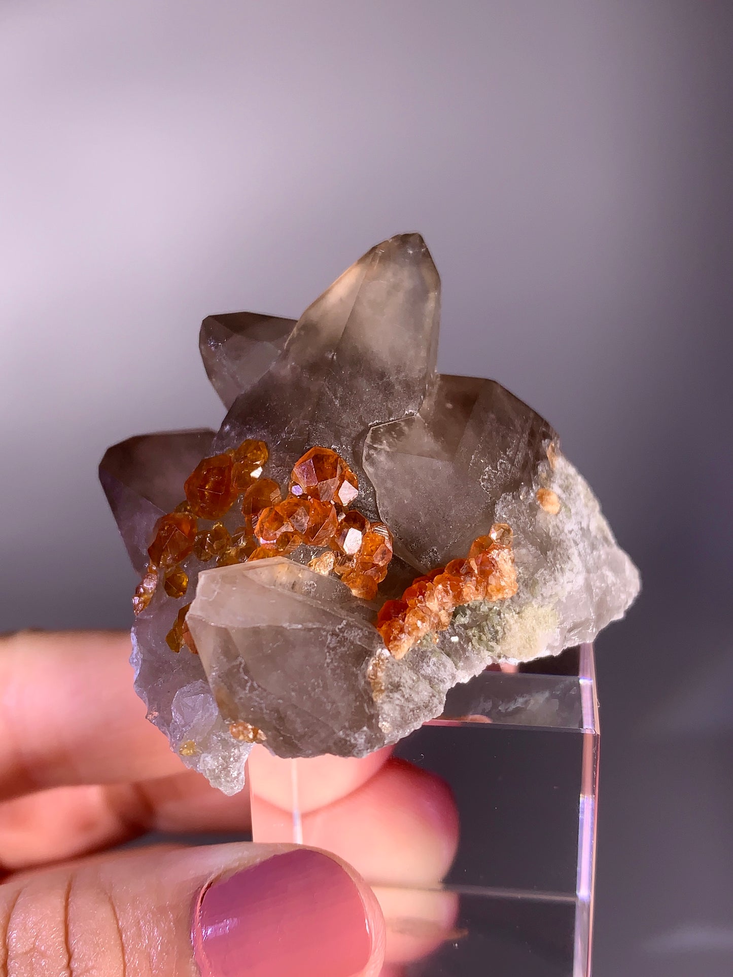 High-Quality Spessartine Garnet on Smoky Quartz Mineral Specimen