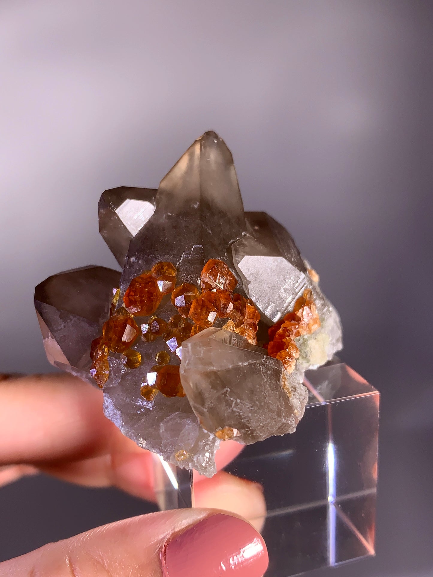 High-Quality Spessartine Garnet on Smoky Quartz Mineral Specimen