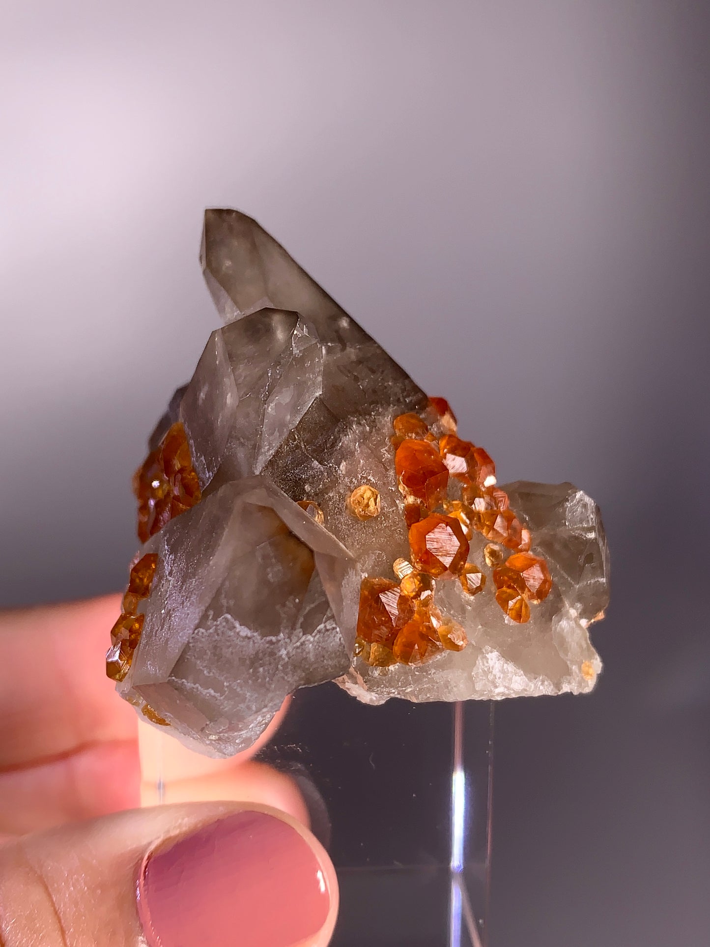 High-Quality Spessartine Garnet on Smoky Quartz Mineral Specimen