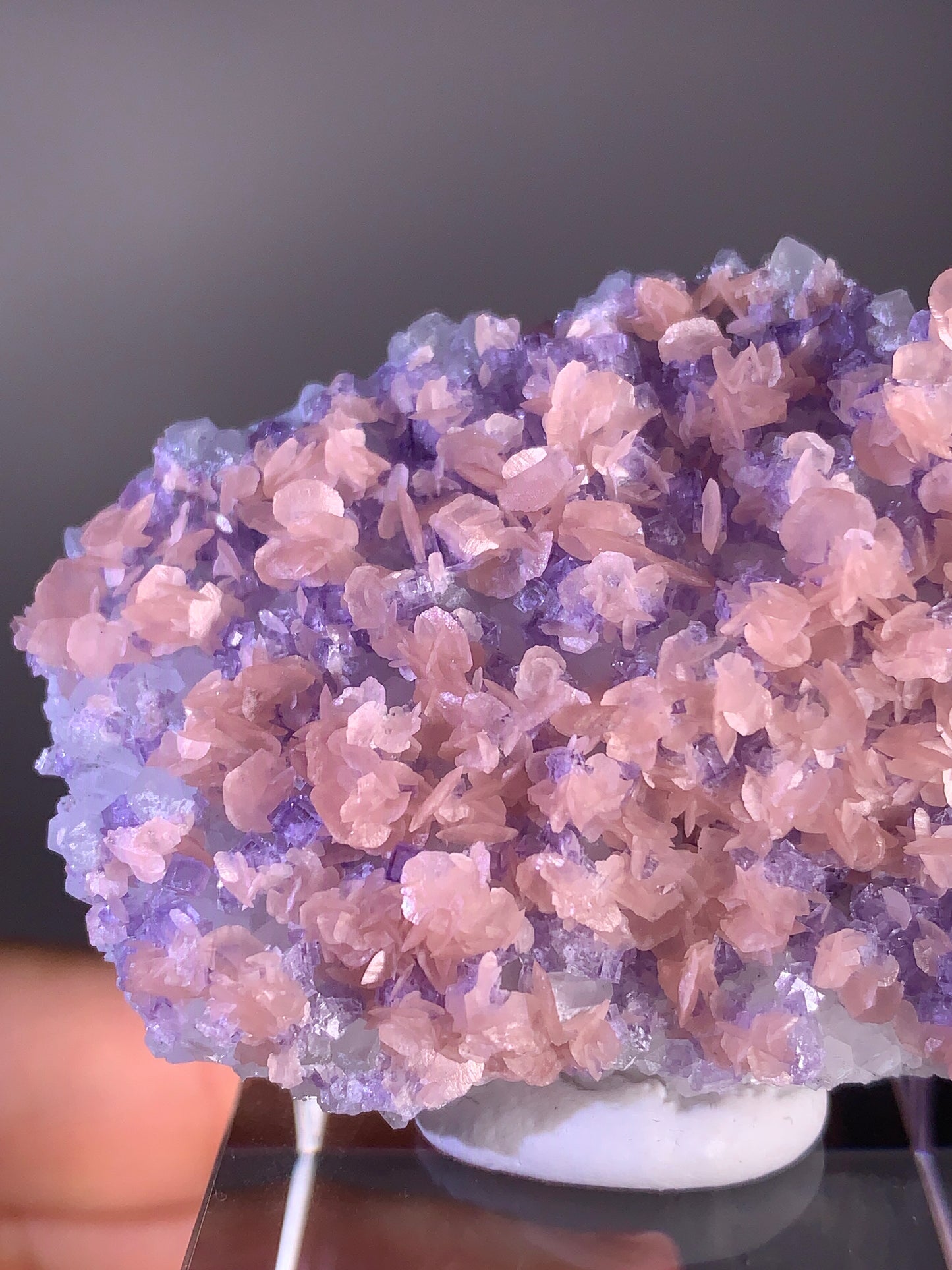 Collector's Piece Pink Petal Rhodochrosite with Purple Fluorite | Rare Natural Mineral Specimen