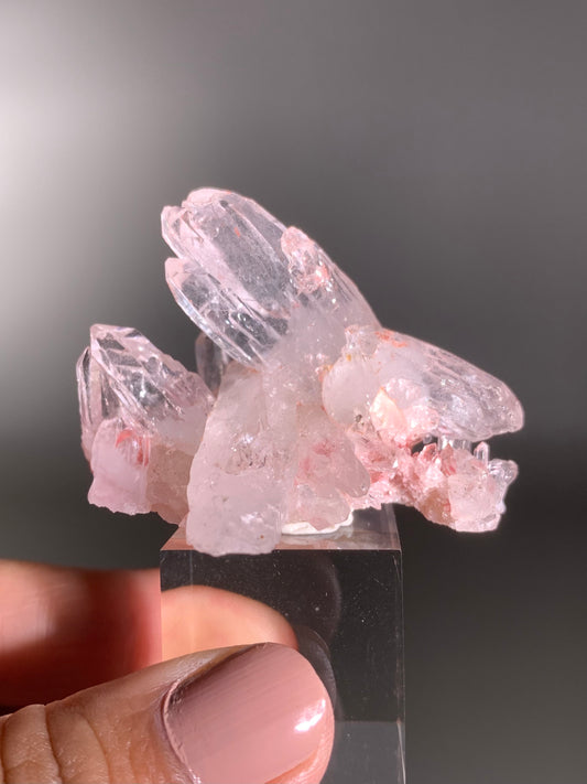 Pink Himalayan Samadhi Quartz