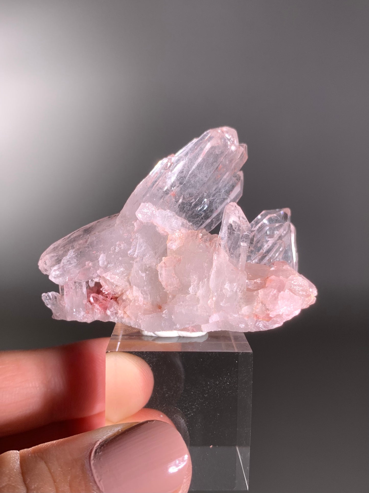 Pink Himalayan Samadhi Quartz