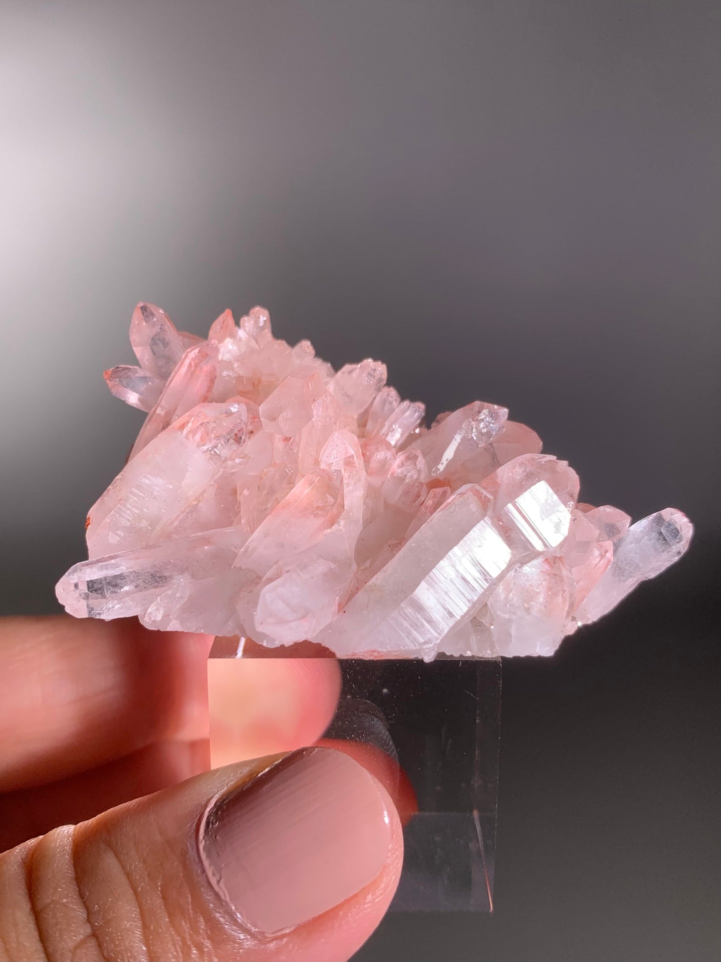 Pink Himalayan Samadhi Quartz