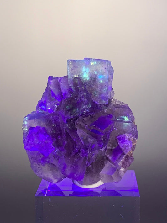 Galaxy Fluorite