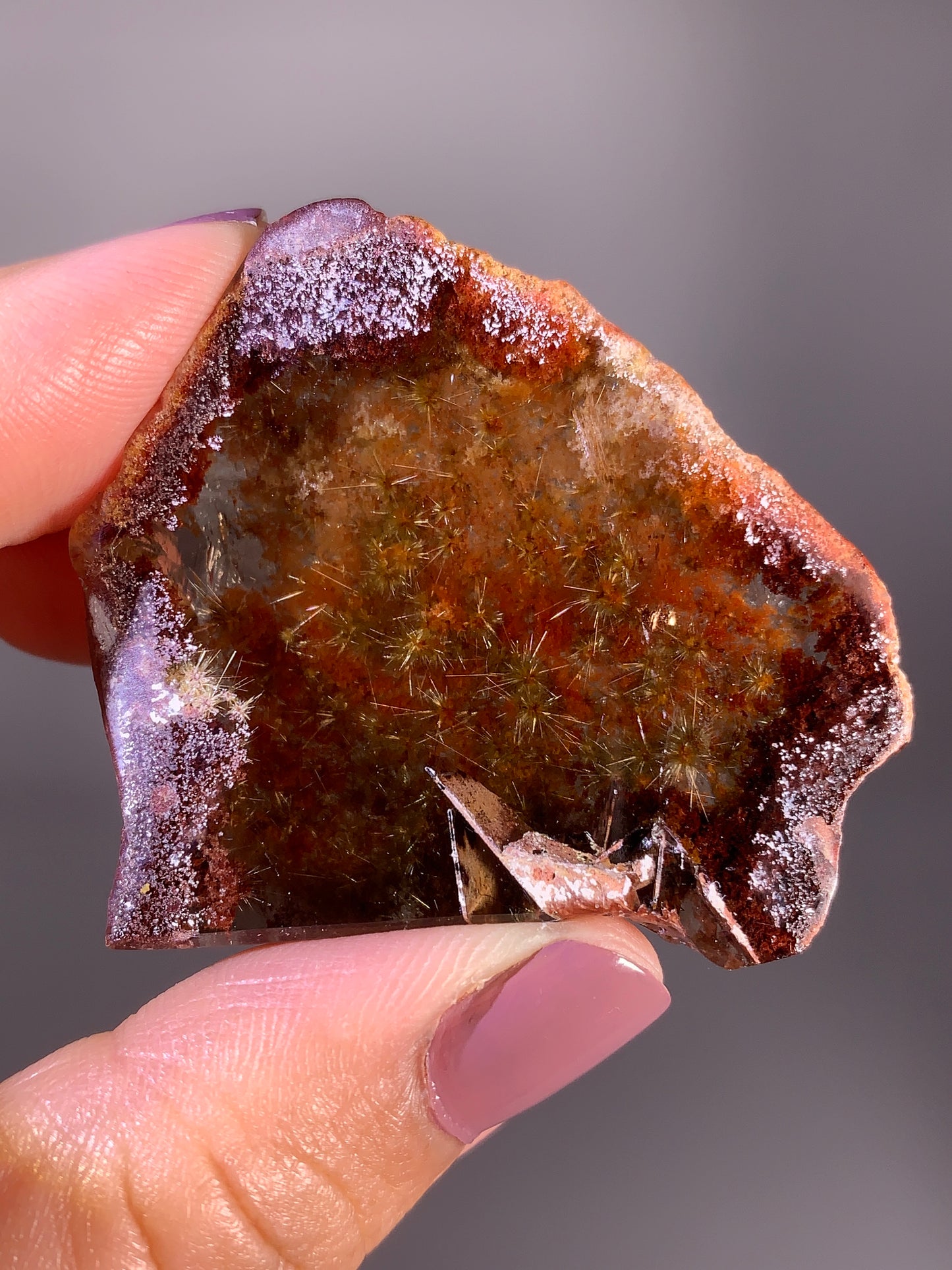 High-Quality Semi-Polished Gold Flower Rutile with Red Garden Quartz Specimen from Brazil