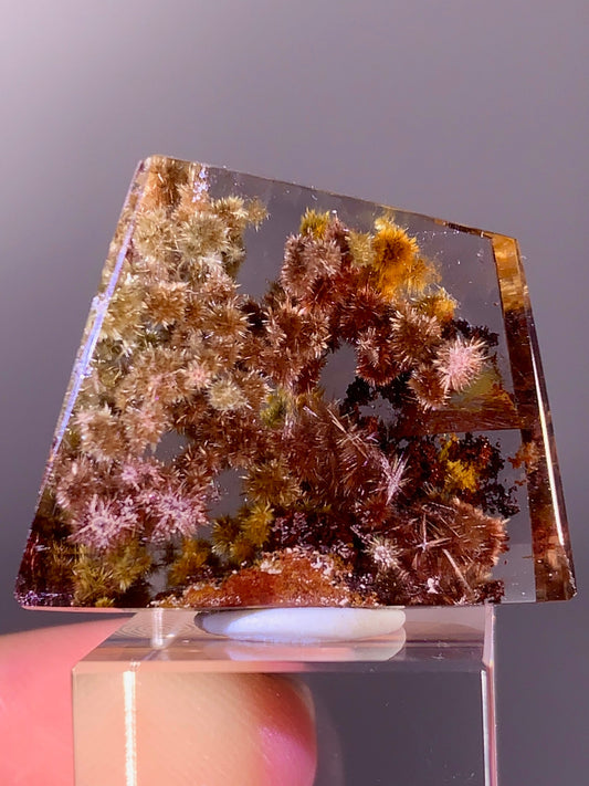 Collector’s Piece Rare Pink, Red, Bronze, Gold Flower Rutile with Garden Quartz Polished Freeform from Brazil