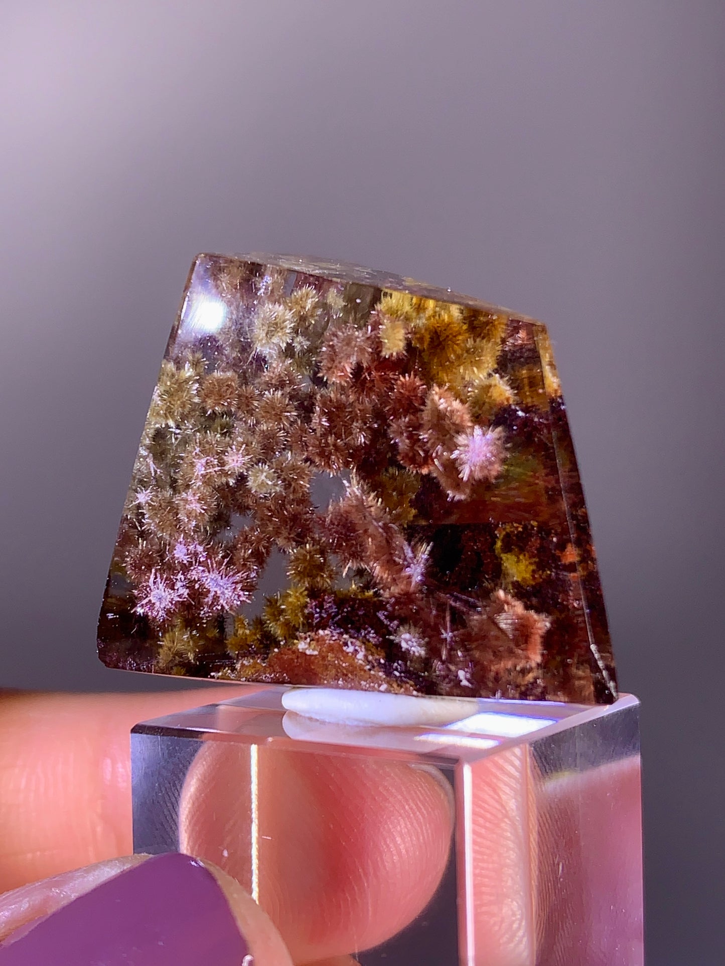 Collector’s Piece Rare Pink, Red, Bronze, Gold Flower Rutile with Garden Quartz Polished Freeform from Brazil