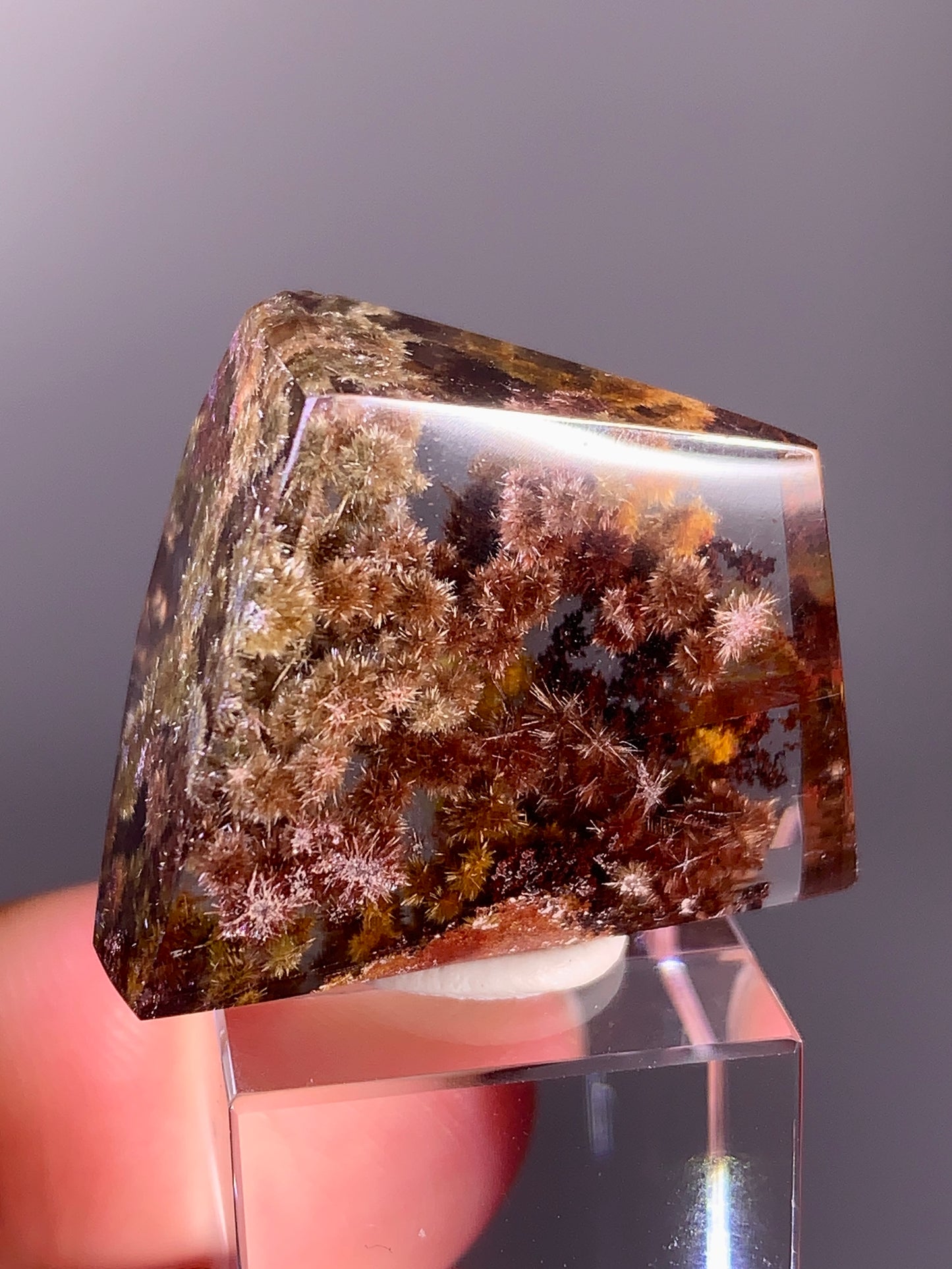Collector’s Piece Rare Pink, Red, Bronze, Gold Flower Rutile with Garden Quartz Polished Freeform from Brazil