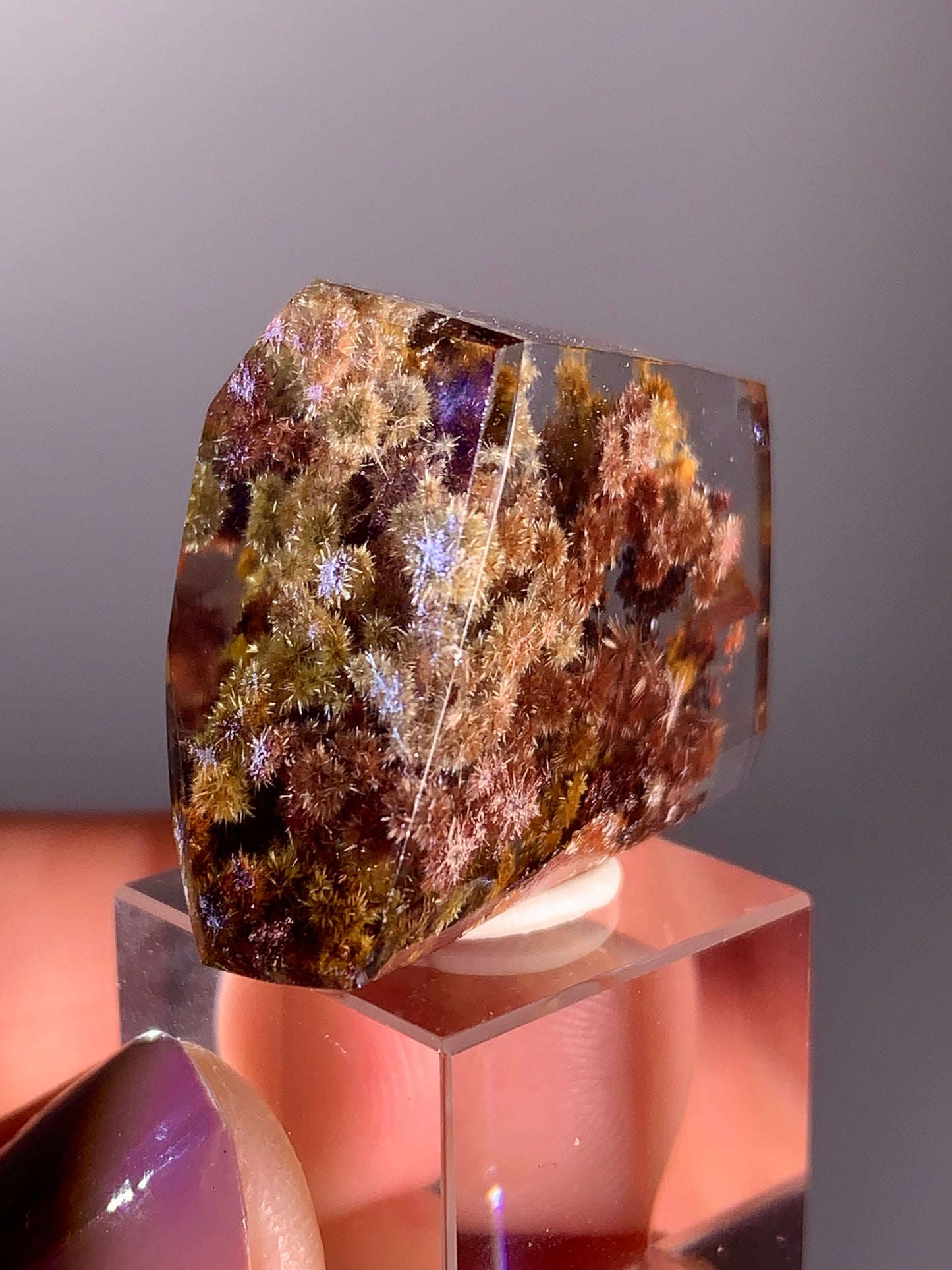 Collector’s Piece Rare Pink, Red, Bronze, Gold Flower Rutile with Garden Quartz Polished Freeform from Brazil
