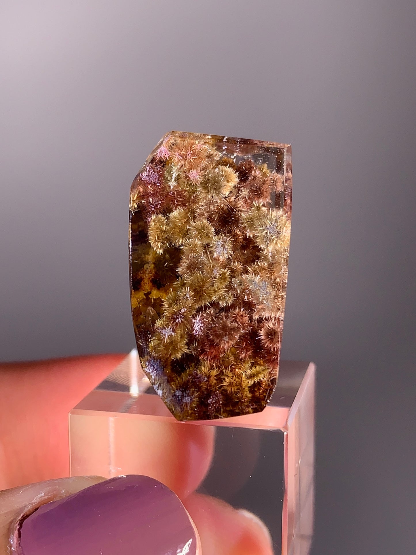 Collector’s Piece Rare Pink, Red, Bronze, Gold Flower Rutile with Garden Quartz Polished Freeform from Brazil