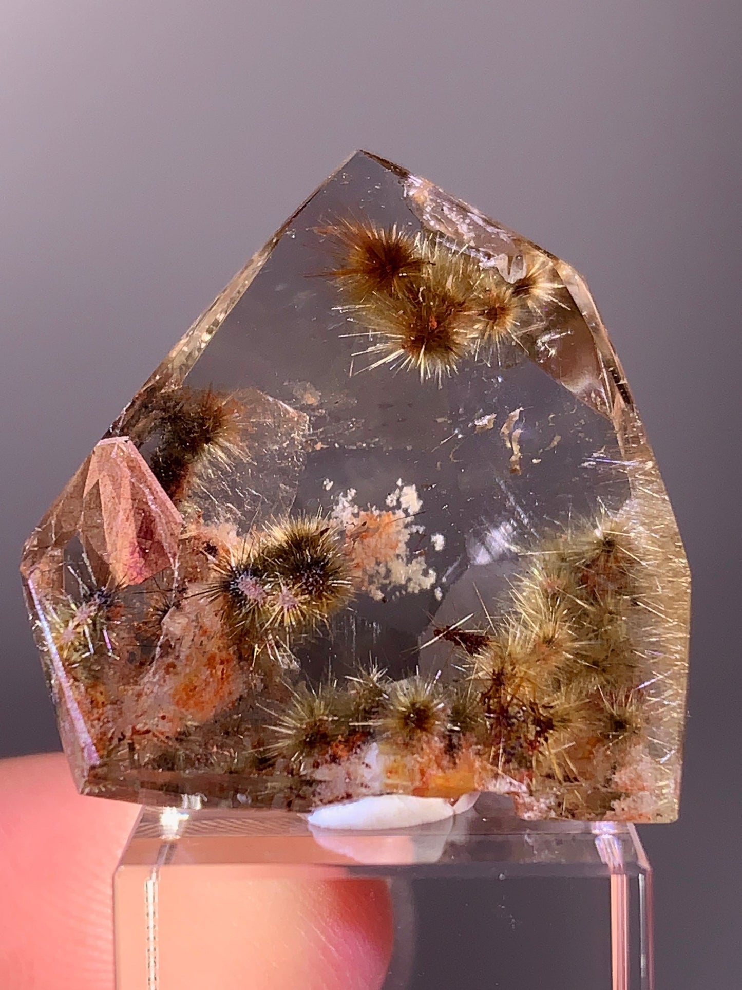 High-Quality Shiny Gold Flower Rutile with Garden Quartz Polished Freeform from Brazil