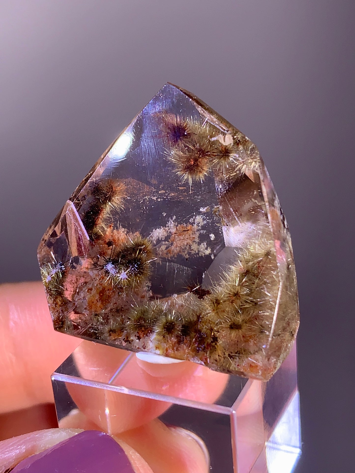 High-Quality Shiny Gold Flower Rutile with Garden Quartz Polished Freeform from Brazil