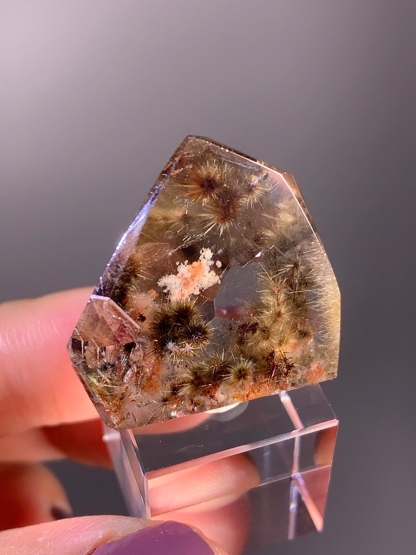 High-Quality Shiny Gold Flower Rutile with Garden Quartz Polished Freeform from Brazil