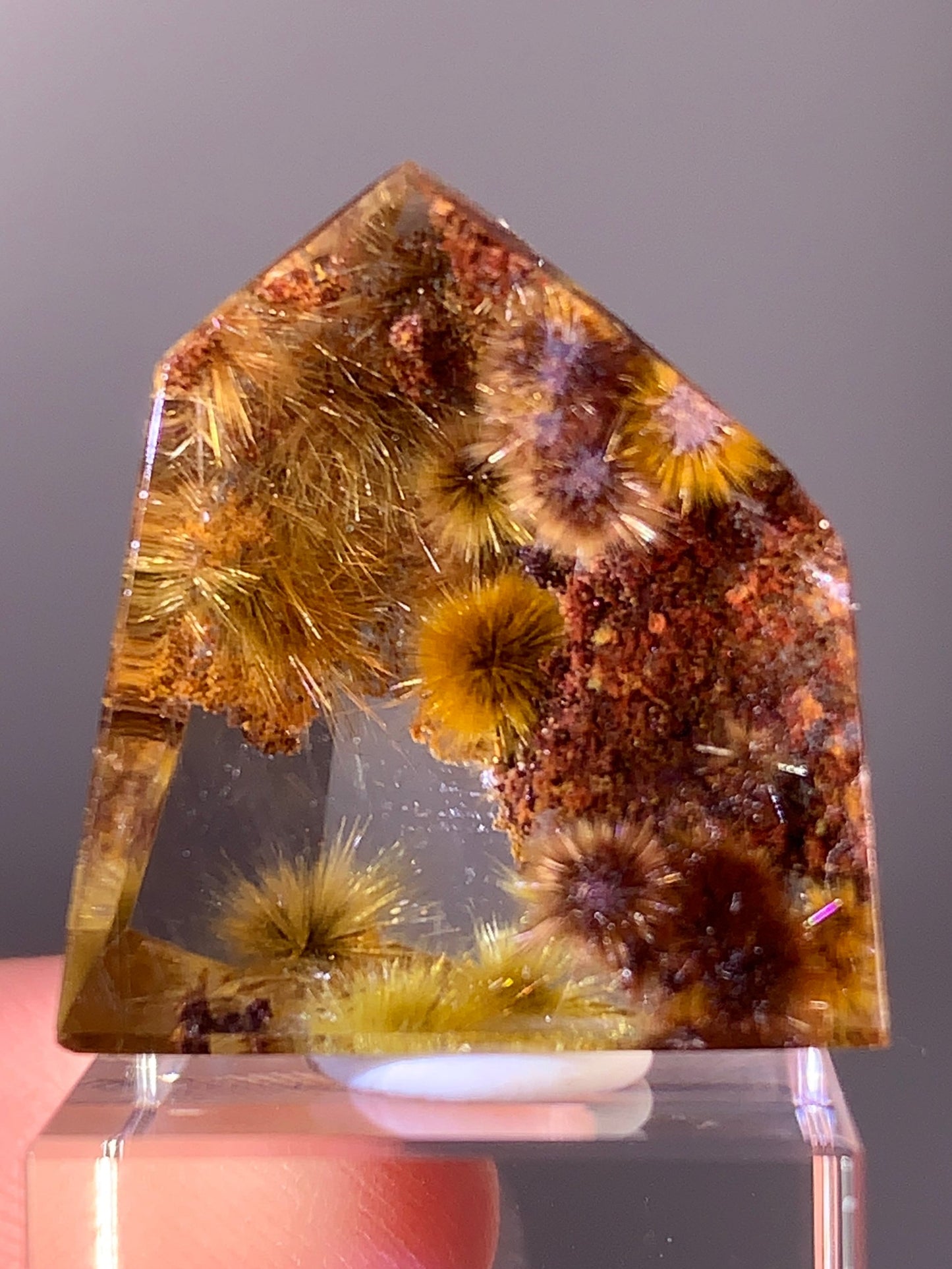 Collector’s Grade Gold Flower Rutile with Red Garden Quartz Polished Freeform from Brazil