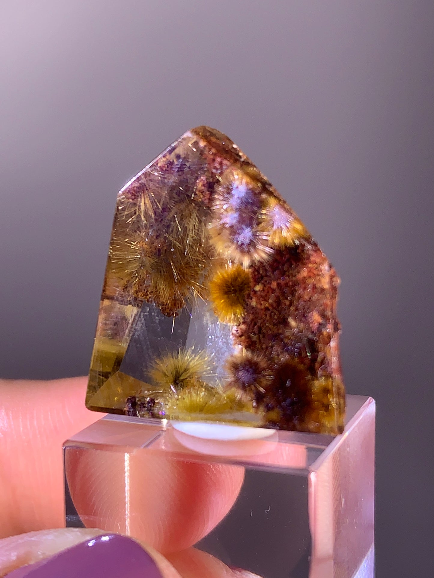 Collector’s Grade Gold Flower Rutile with Red Garden Quartz Polished Freeform from Brazil