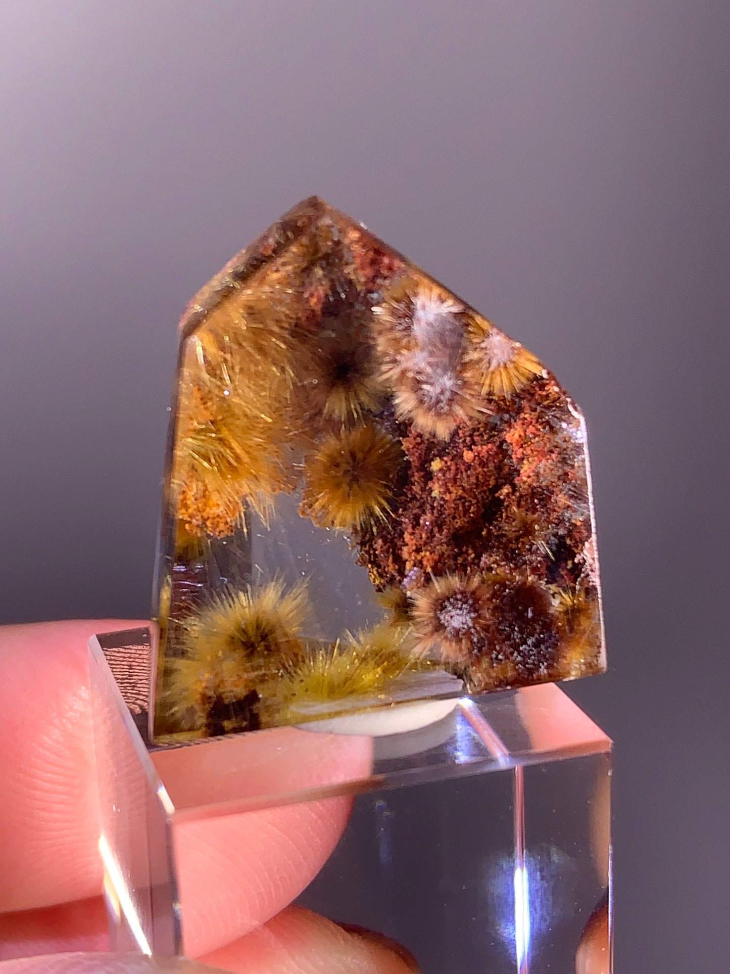 Collector’s Grade Gold Flower Rutile with Red Garden Quartz Polished Freeform from Brazil