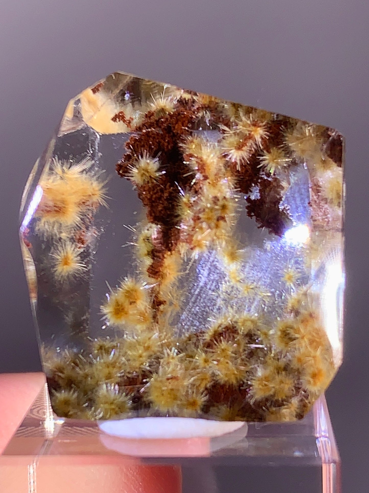 Collector’s Grade Gold Flower Rutile with Red Garden Quartz Polished Freeform from Brazil