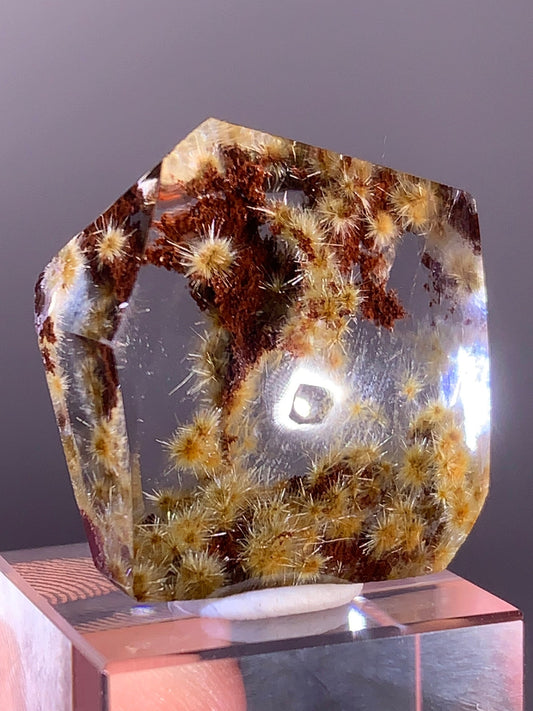 Collector’s Grade Gold Flower Rutile with Red Garden Quartz Polished Freeform from Brazil