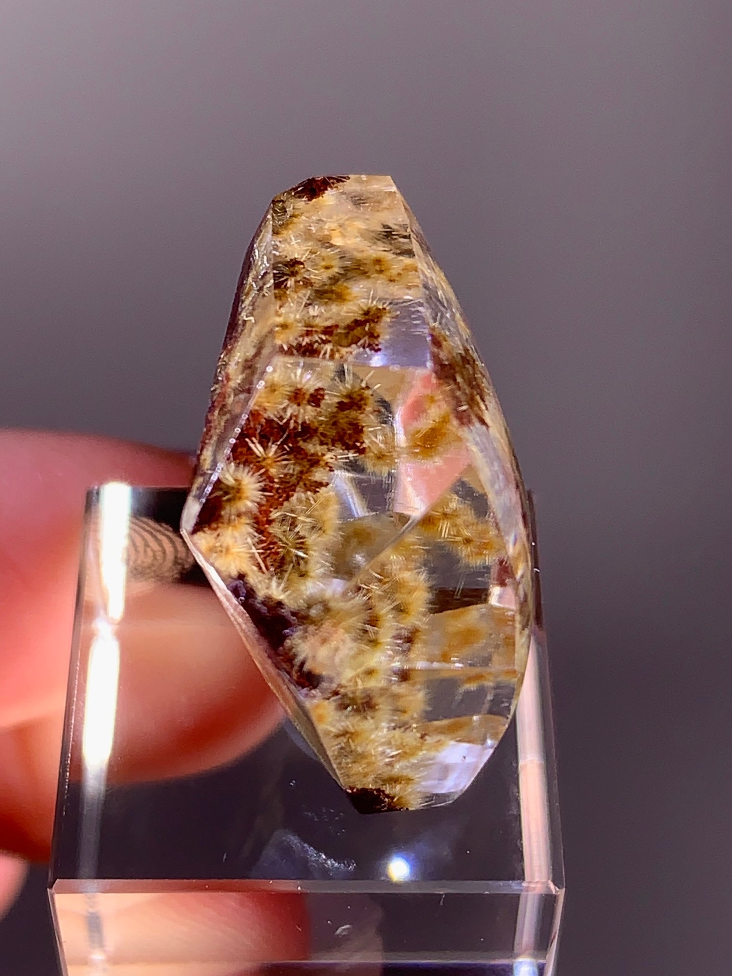 Collector’s Grade Gold Flower Rutile with Red Garden Quartz Polished Freeform from Brazil
