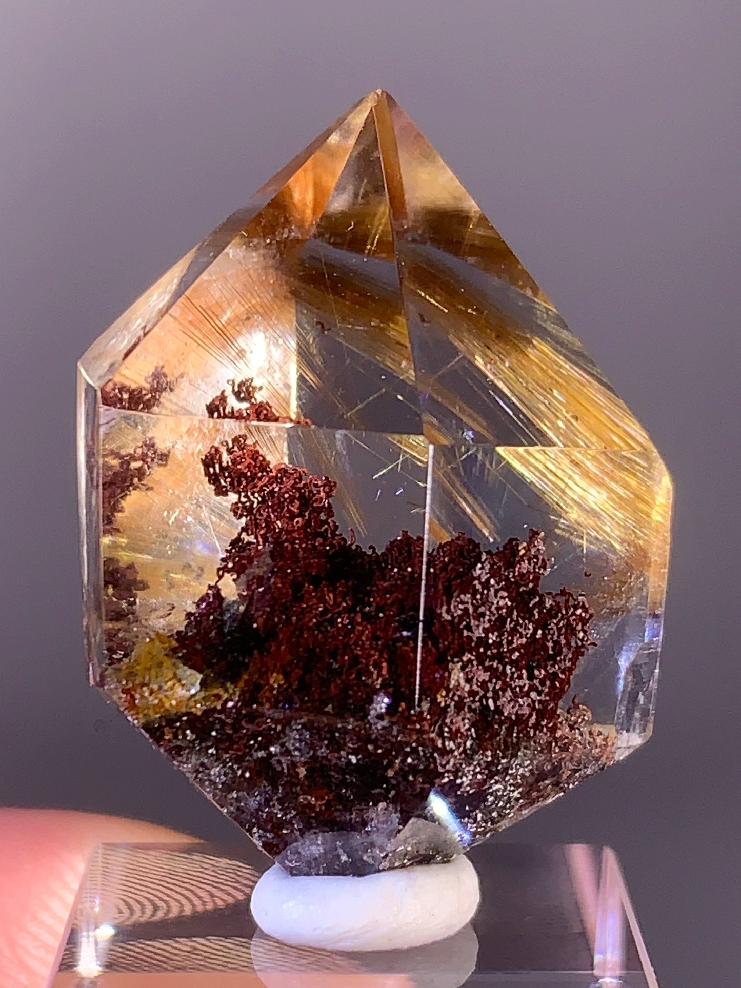 High-Quality Gold Rutile with Red Garden Quartz Polished Double Terminated Point from Brazil