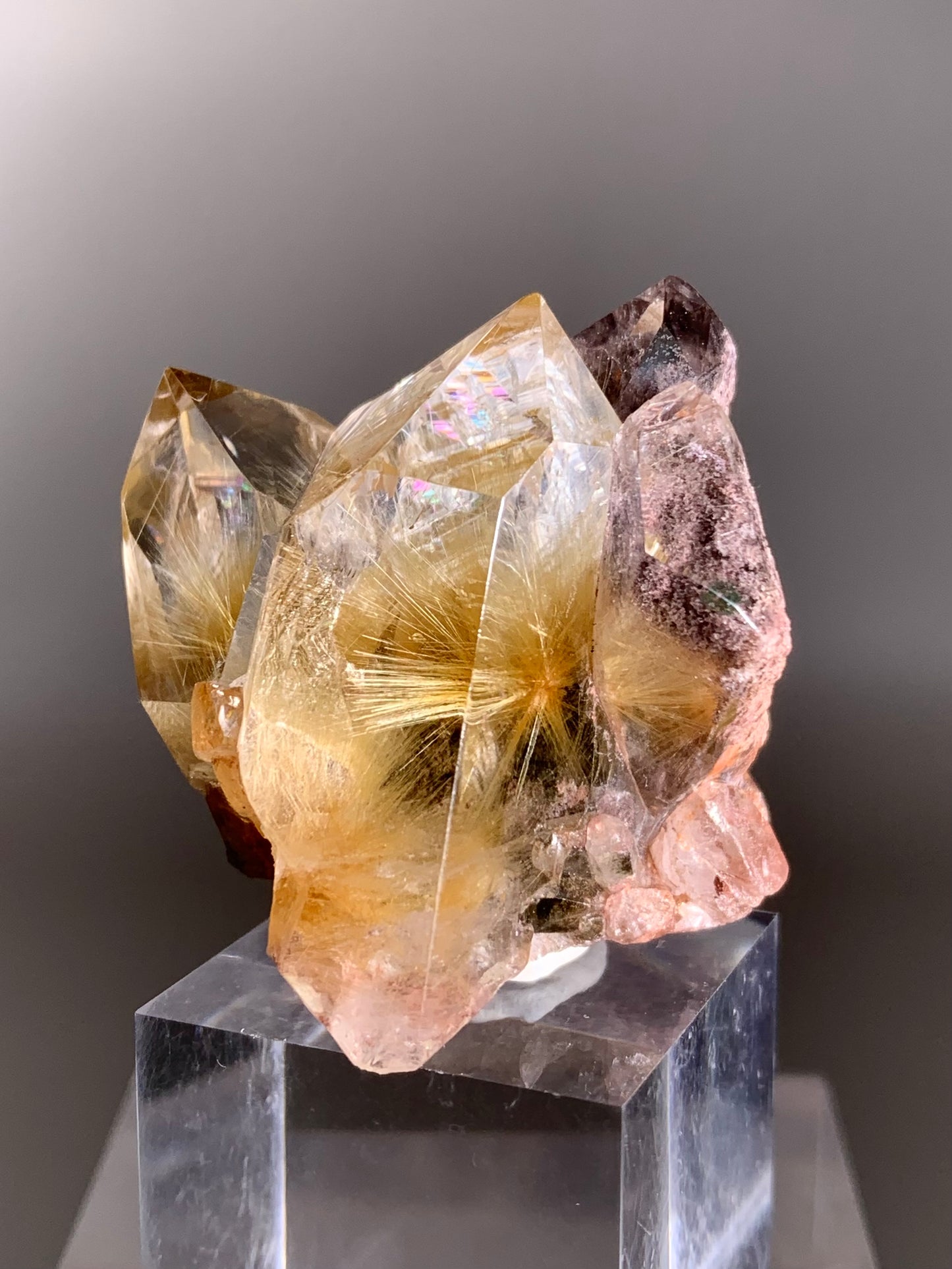 Top-Quality Semi-Polished Rare Gold Star Rutile with Purple Garden Quartz