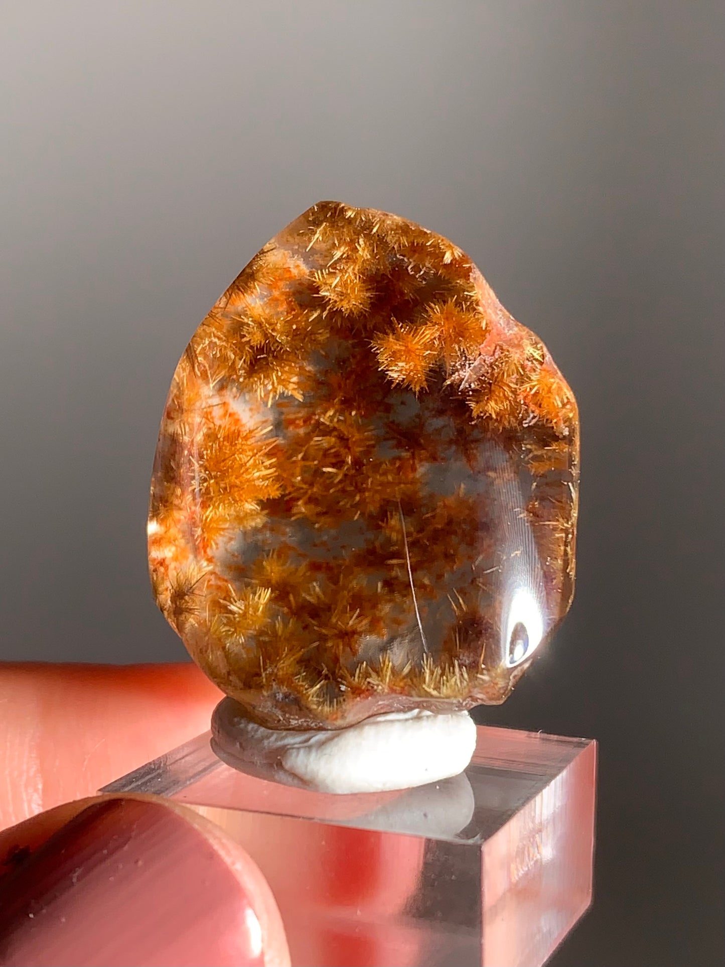 Rare Top-Quality Gold Rutile Flower Polished Quartz Kaleidoscope