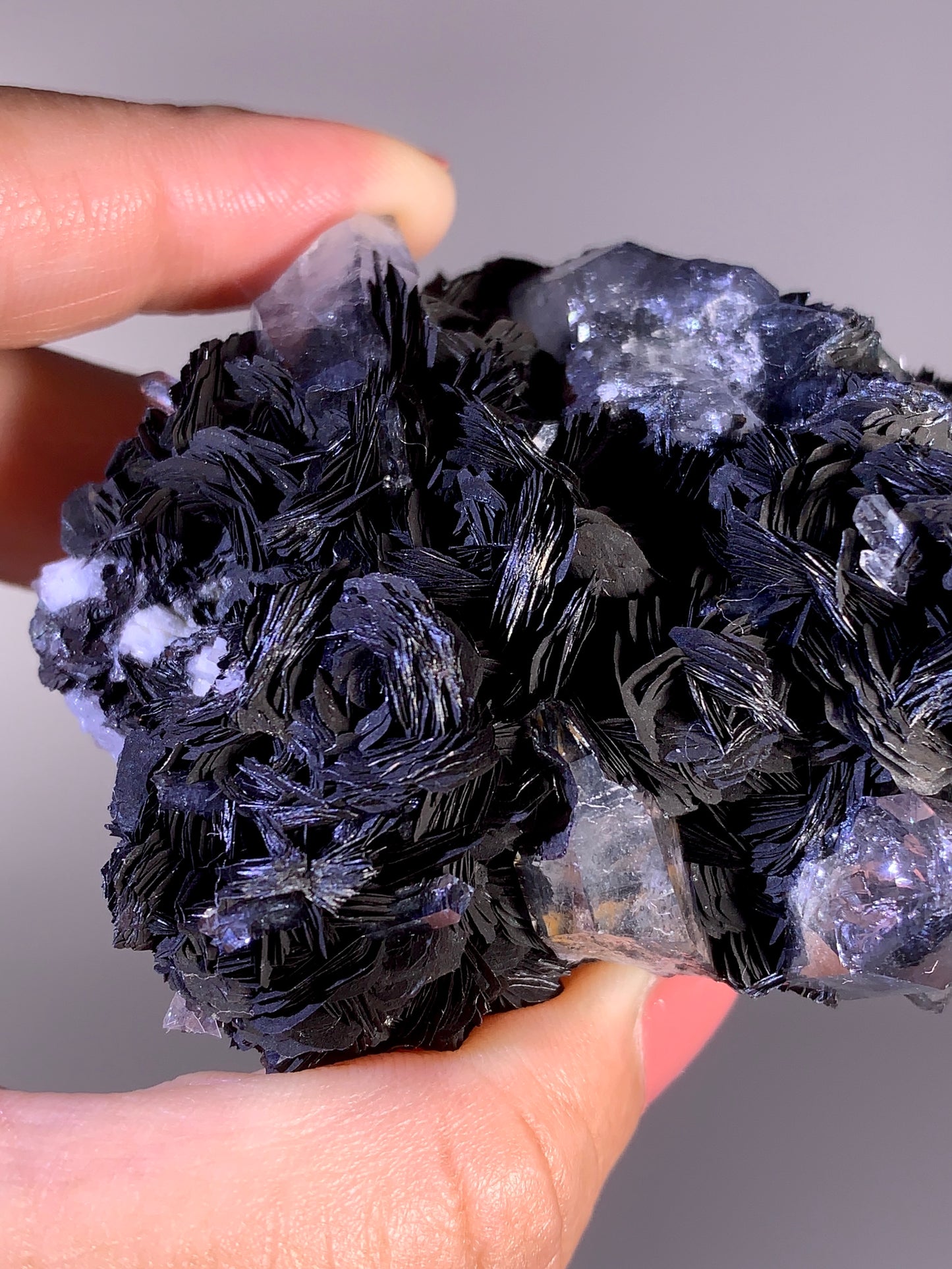 High-Quality Specularite Rose Mineral Specimen | Collector Grade Crystal