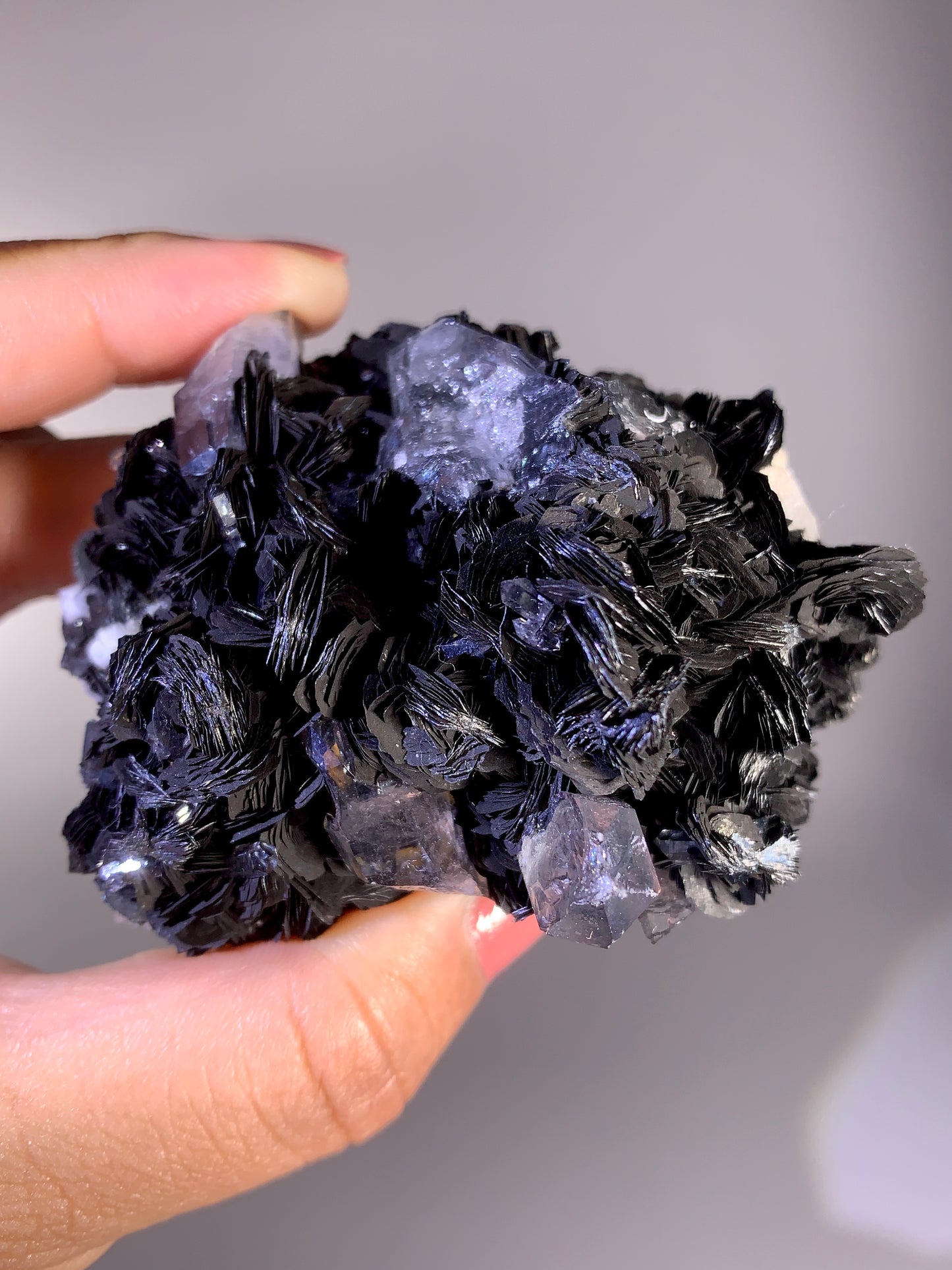 High-Quality Specularite Rose Mineral Specimen | Collector Grade Crystal