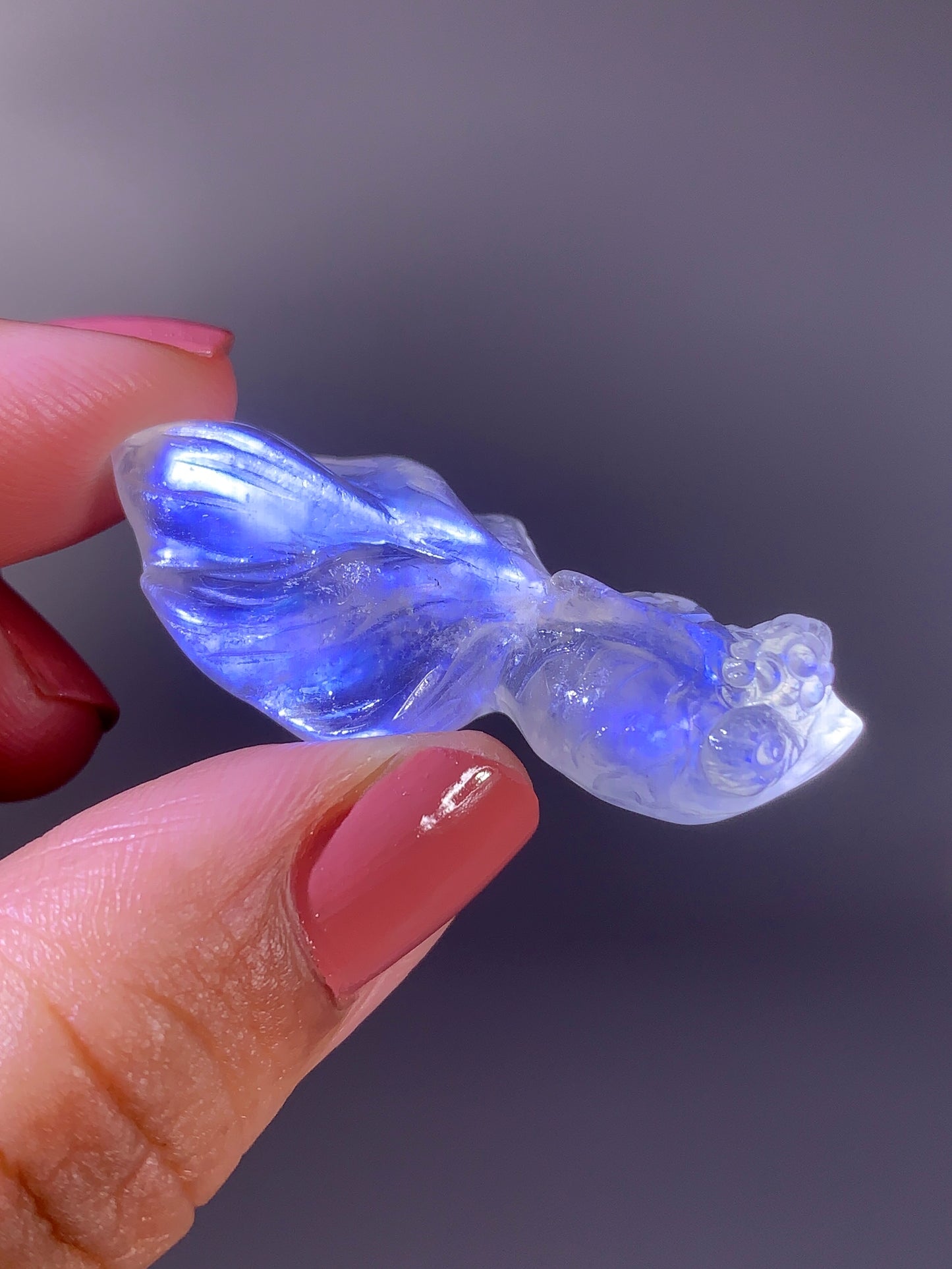 High-Quality Moonstone Goldfish Carving from Tanzania