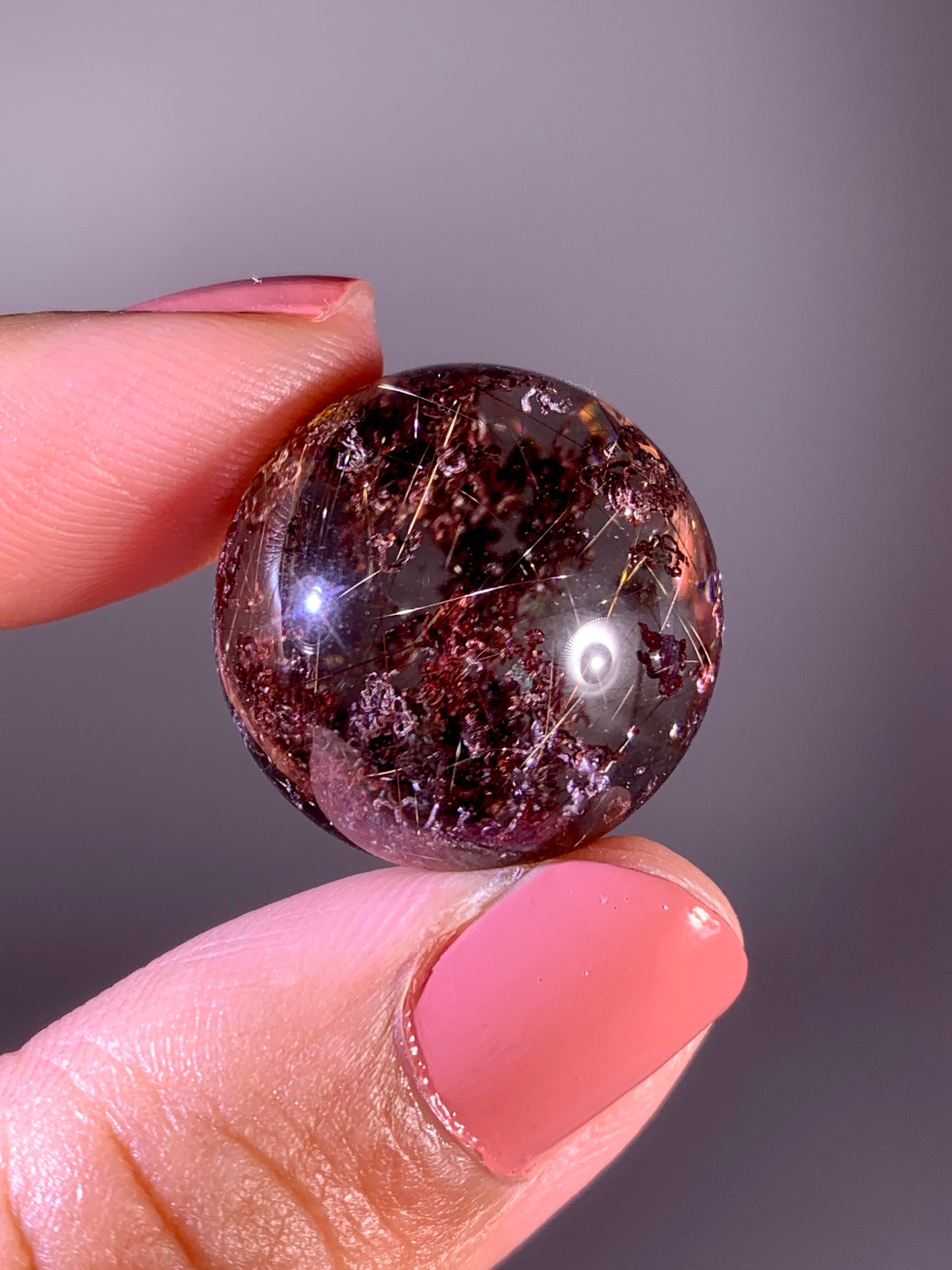 Collector’s Grade Gold Shooting Star Rutile with Red & Pink Noodle Garden Quartz Sphere from Brazil