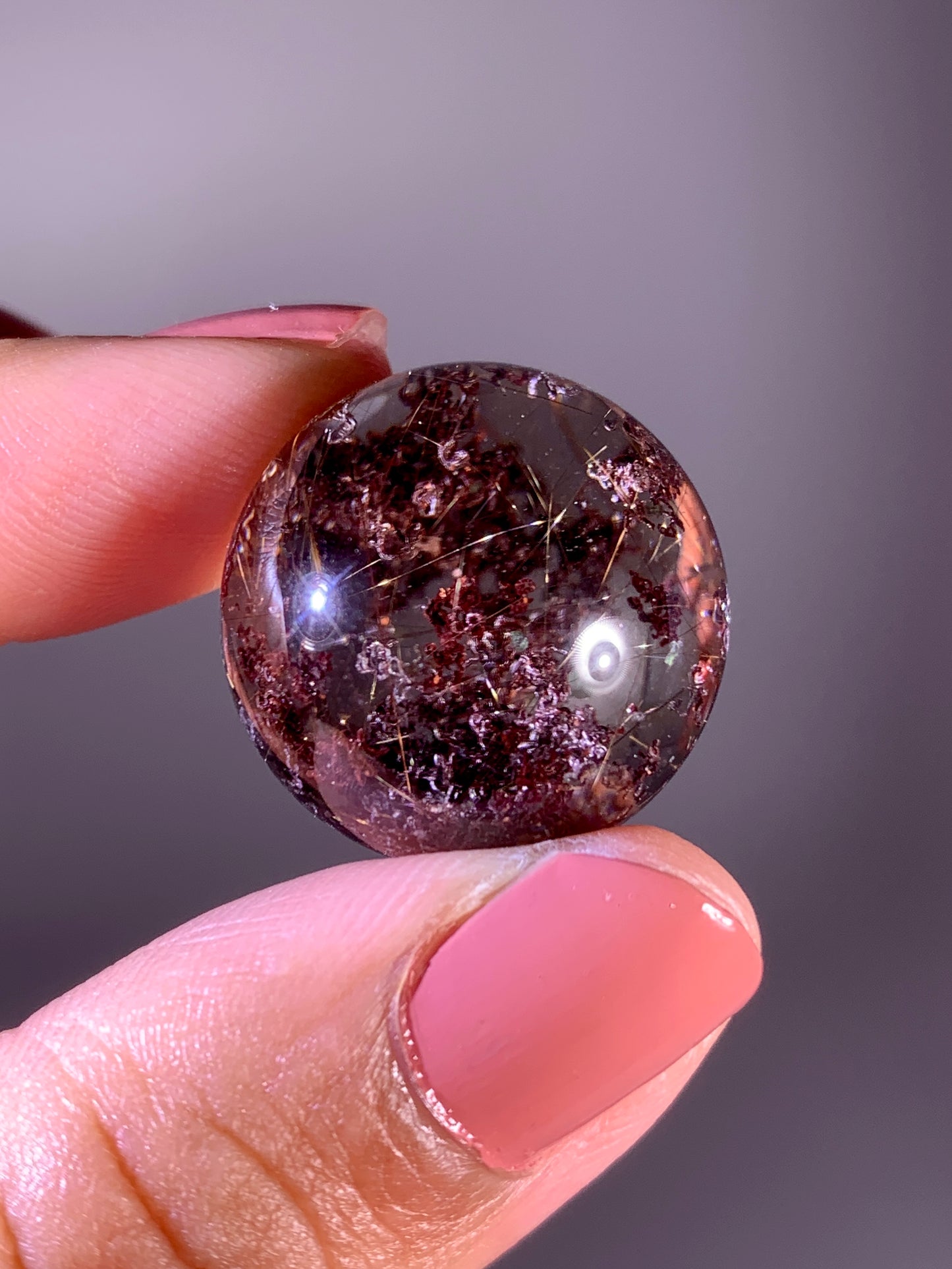 Collector’s Grade Gold Shooting Star Rutile with Red & Pink Noodle Garden Quartz Sphere from Brazil