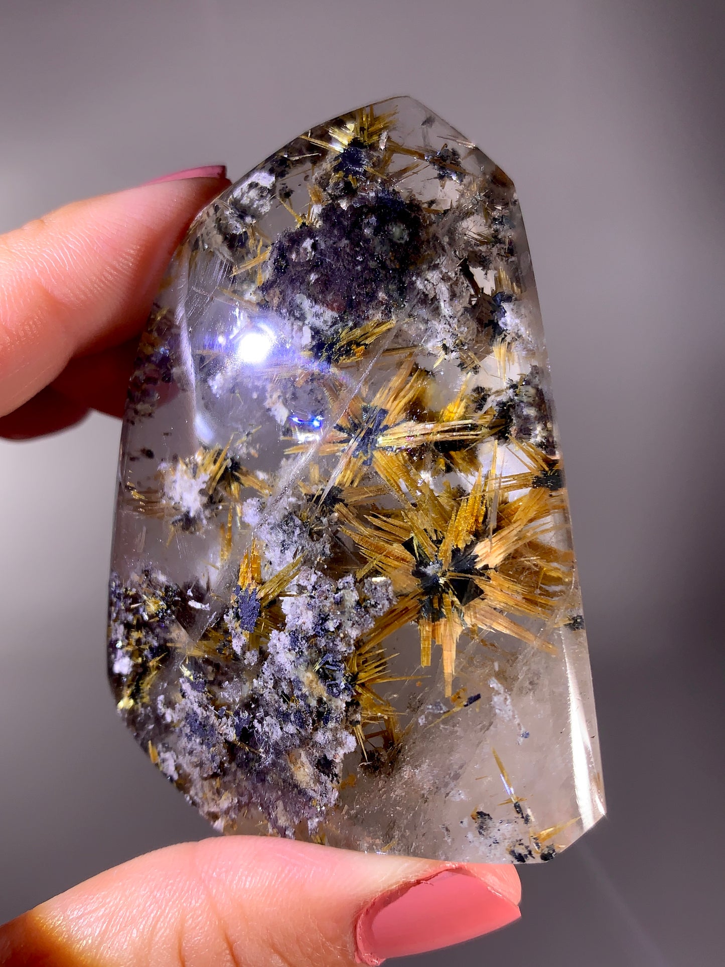 Collector's Grade Novo Horizonte Star Rutile with Garden & Shiny Hematite Self-Standing Freeform from Brazil
