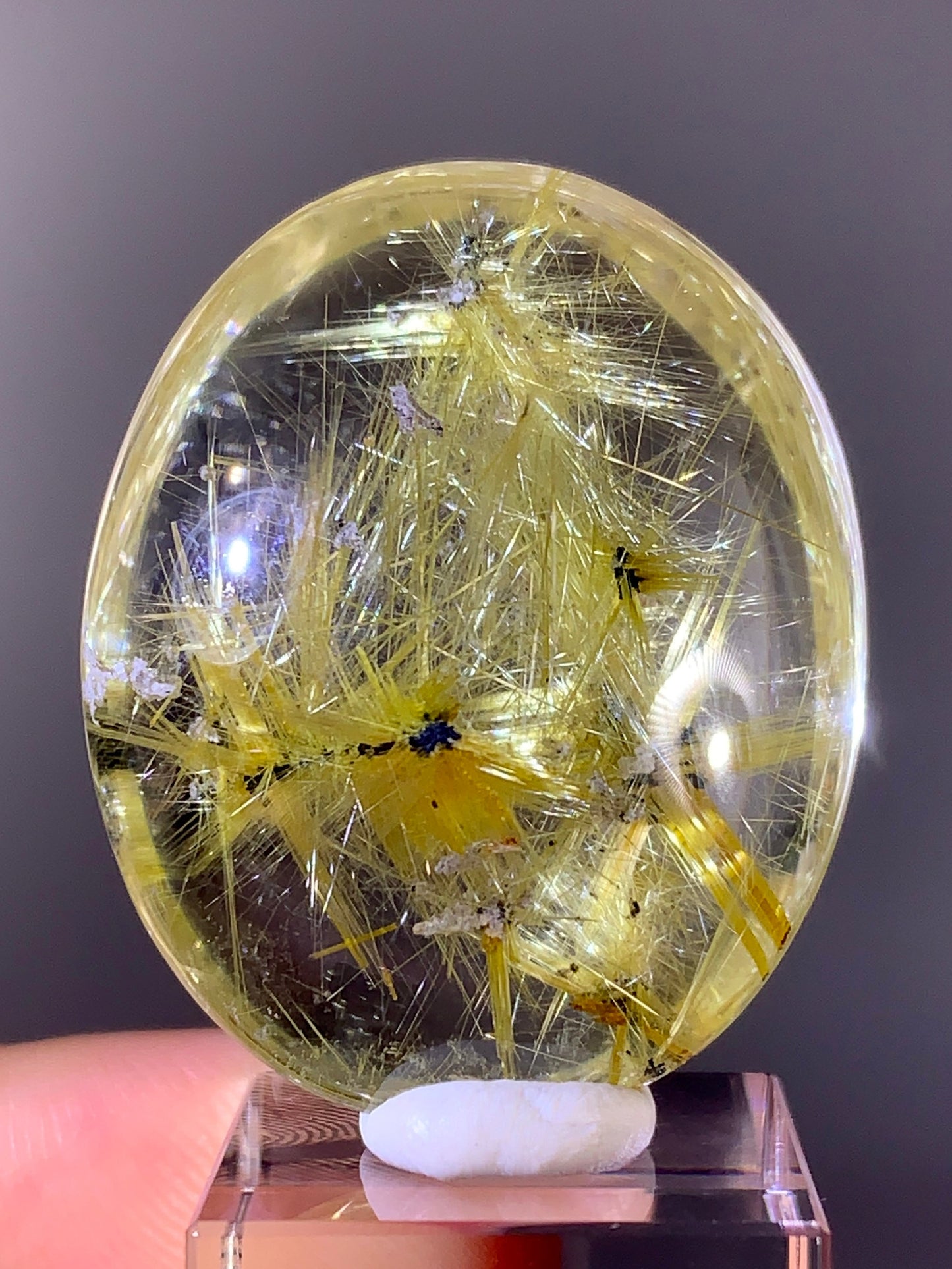 Collector's Grade Novo Horizonte Star Rutile in Quartz Polished Pocket Stone from Brazil