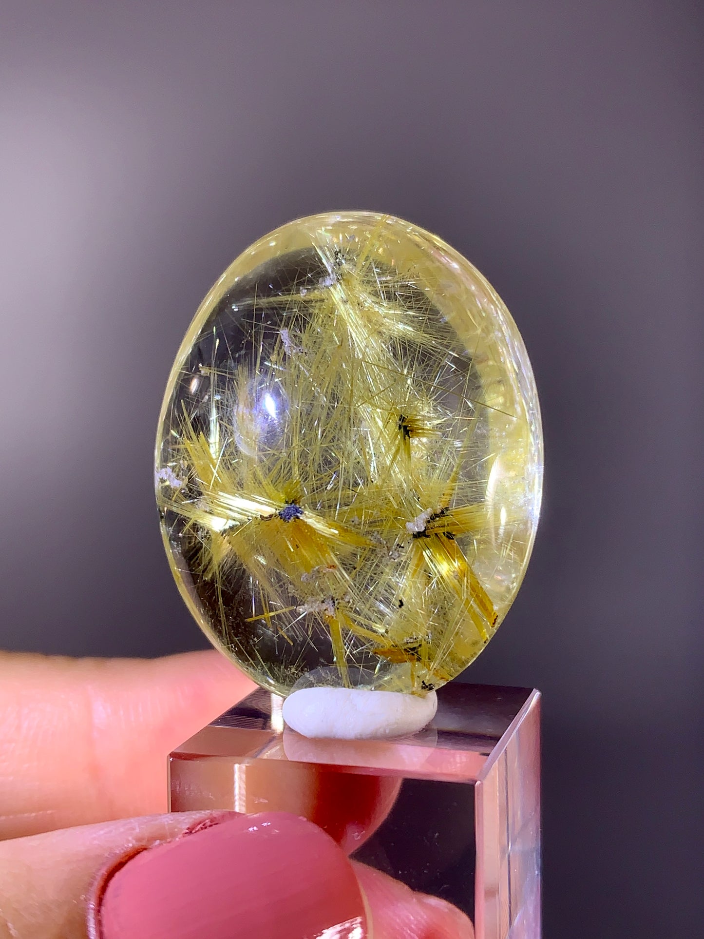 Collector's Grade Novo Horizonte Star Rutile in Quartz Polished Pocket Stone from Brazil