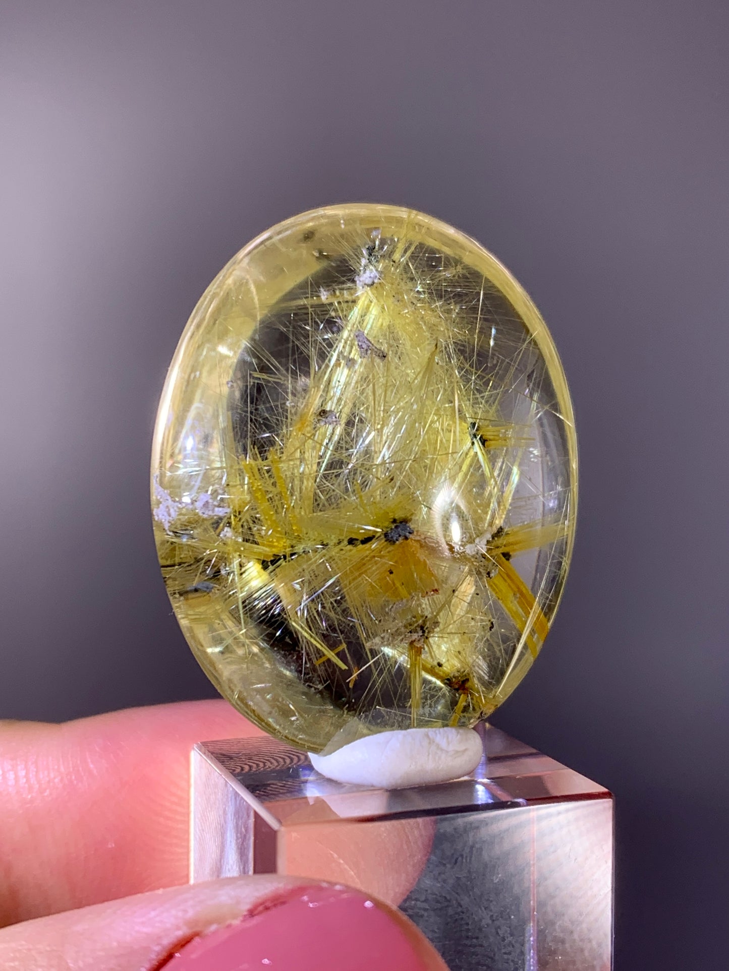 Collector's Grade Novo Horizonte Star Rutile in Quartz Polished Pocket Stone from Brazil