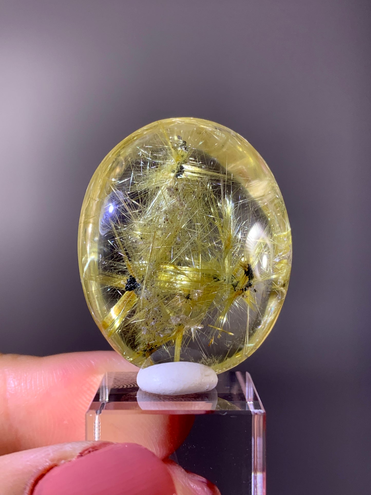 Collector's Grade Novo Horizonte Star Rutile in Quartz Polished Pocket Stone from Brazil