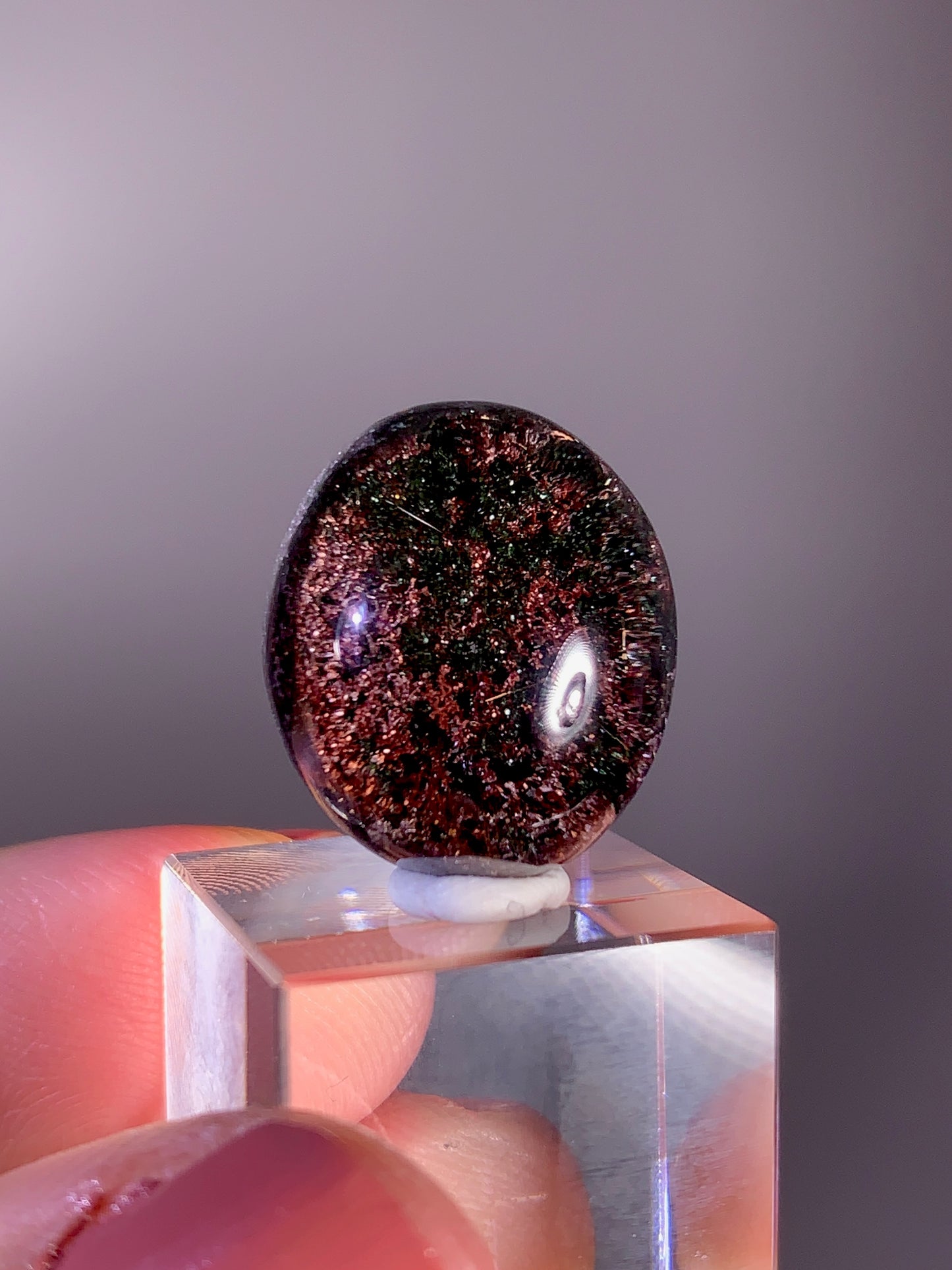 High-Quality Four-Season Garden Quartz with Gold Rutile Cabochon | Brazil