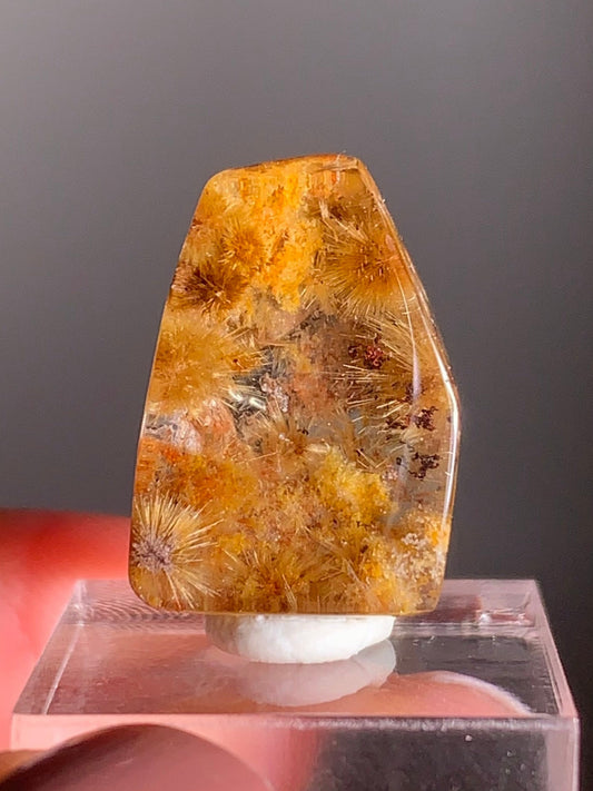 Rare Gold Starburst Rutile Quartz with Yellow Garden Mini Gem from Brazil