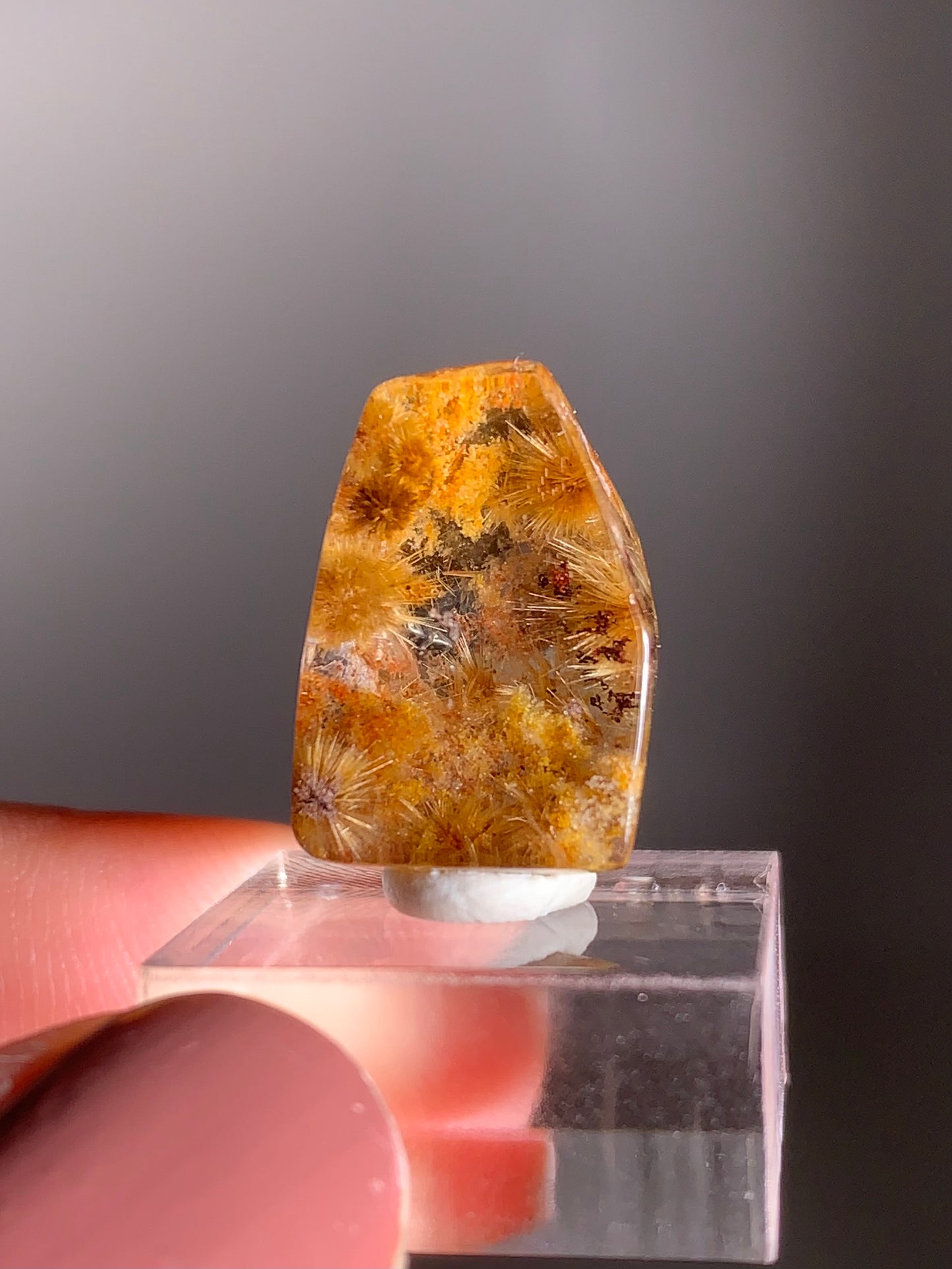 Rare Gold Starburst Rutile Quartz with Yellow Garden Mini Gem from Brazil