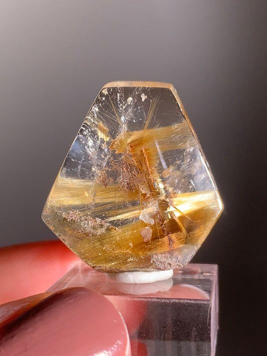 Rare Gold Star Rutile Quartz with Garden Inclusion Mini Gem from Brazil