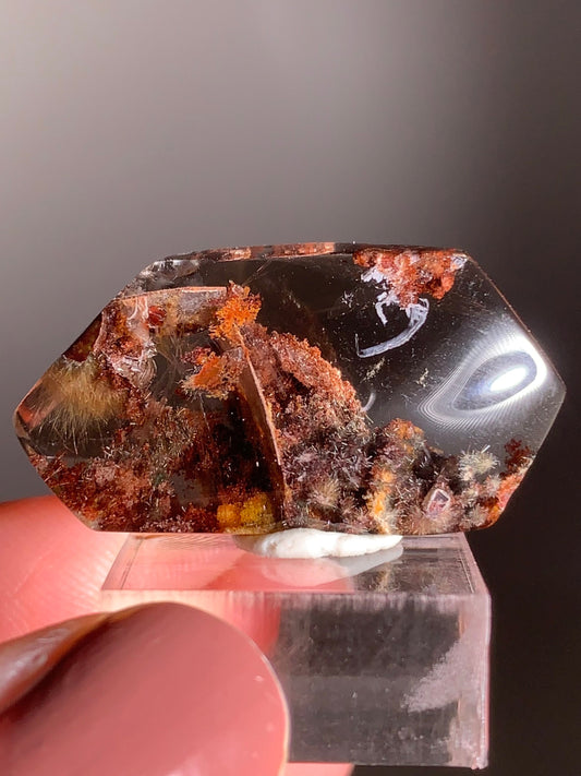 Rare Silver Starburst & Gold Fireworks Rutile Quartz with Wine Garden Mini Gem from Brazil